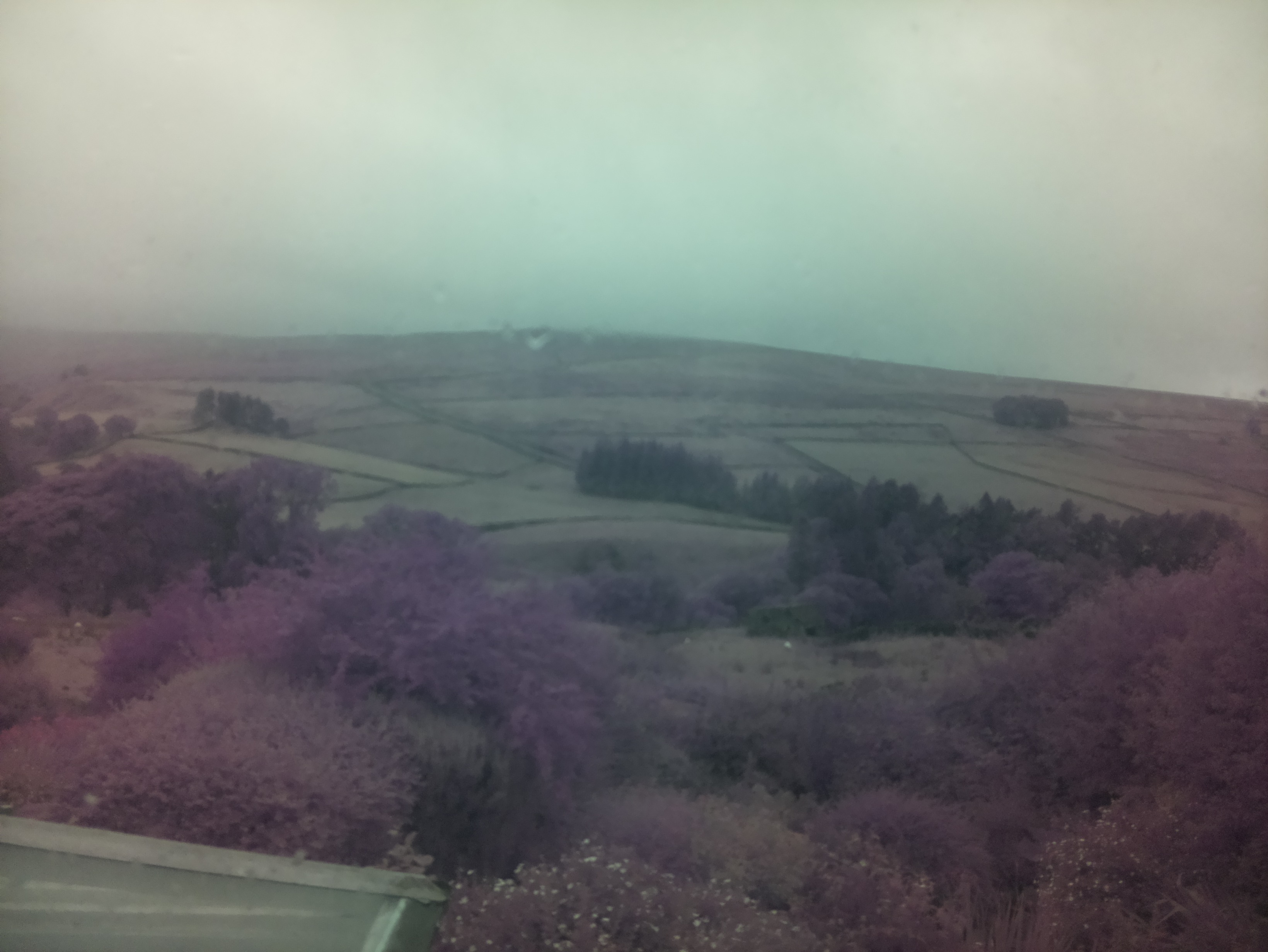 raspi webcam photo