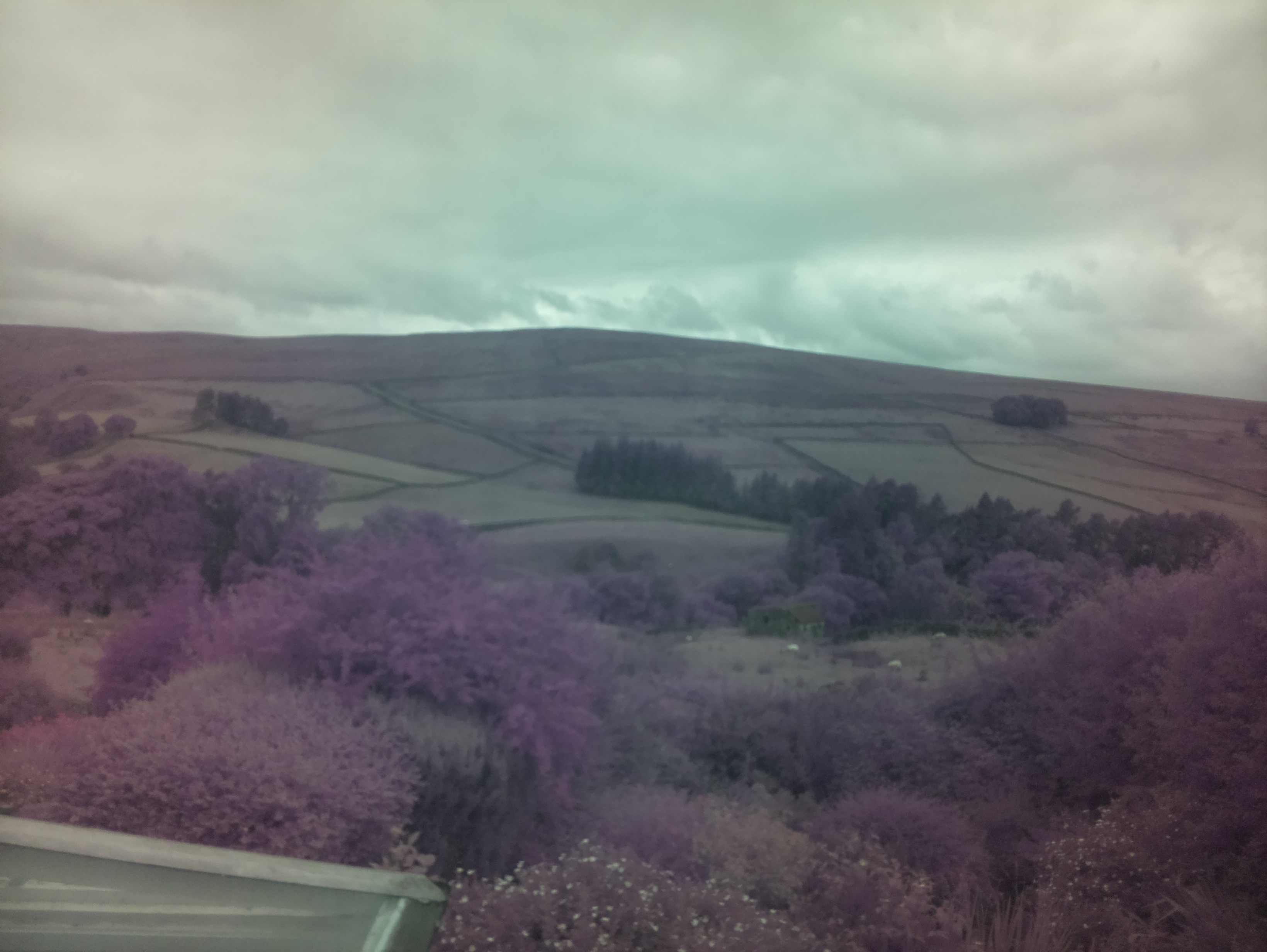 raspi webcam photo