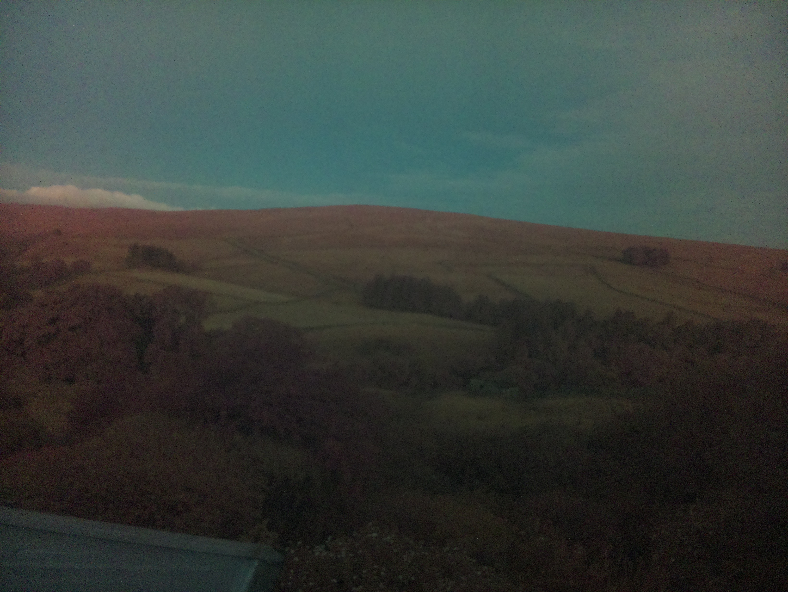 raspi webcam photo