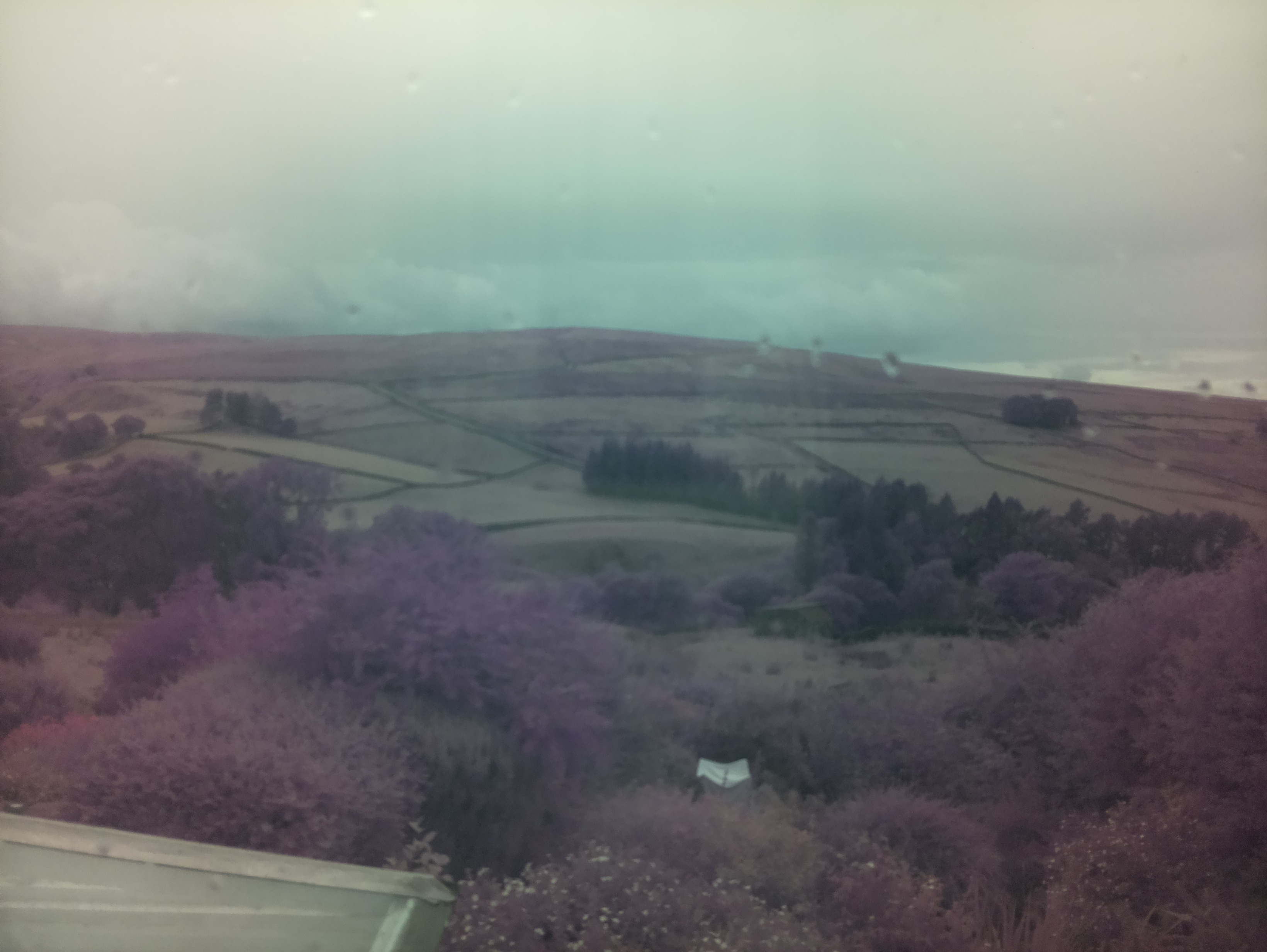 raspi webcam photo