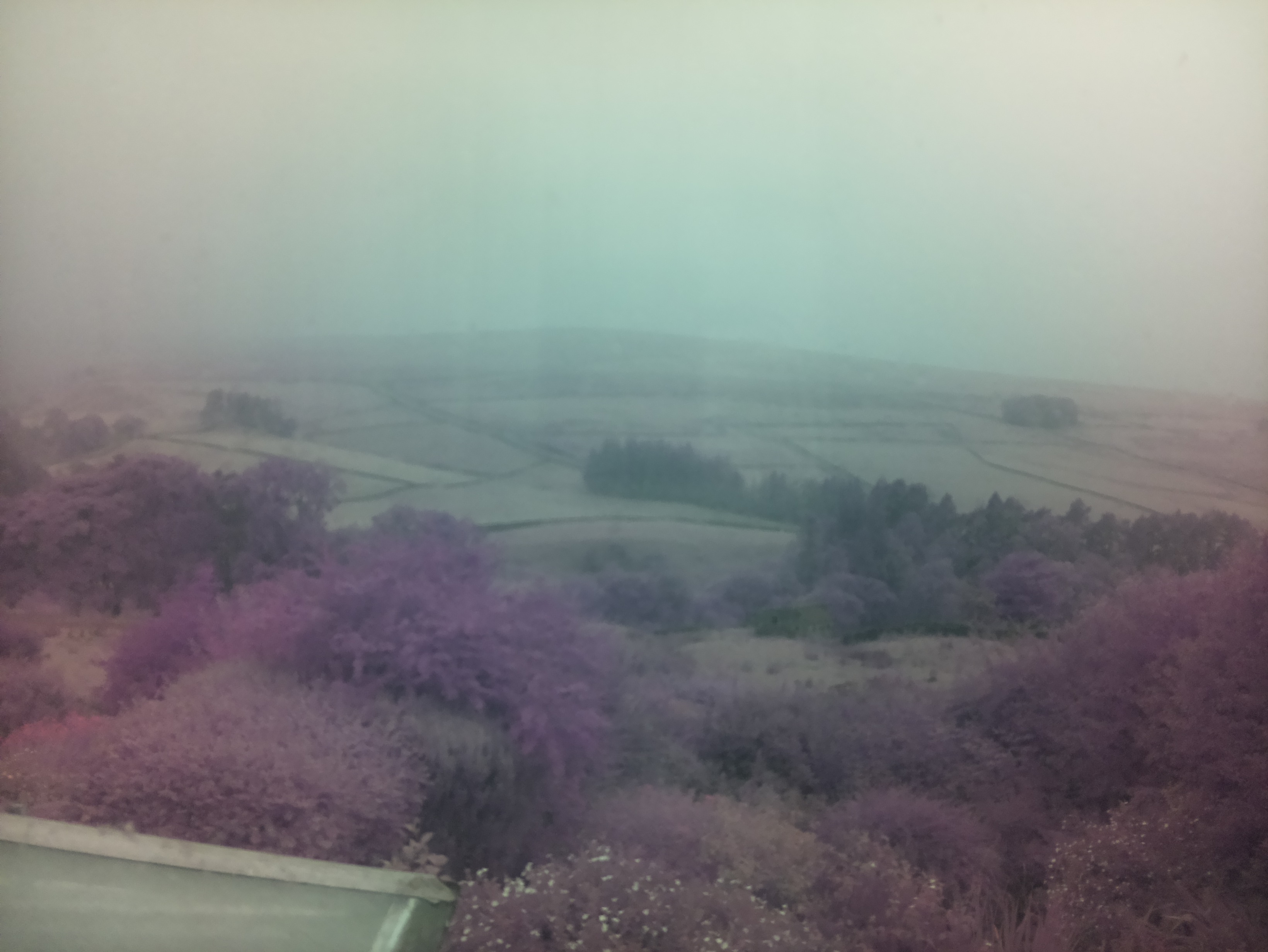 raspi webcam photo