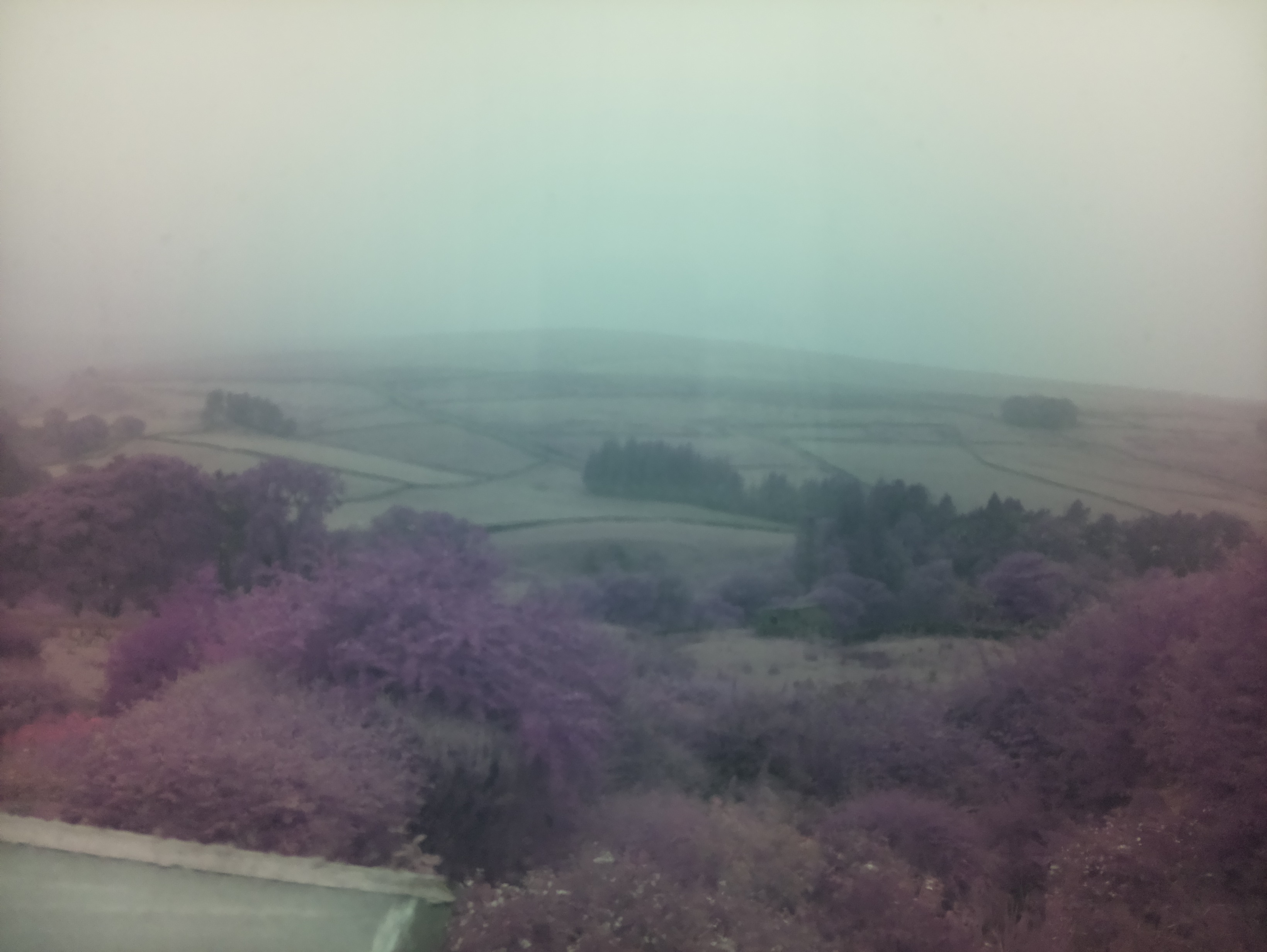 raspi webcam photo
