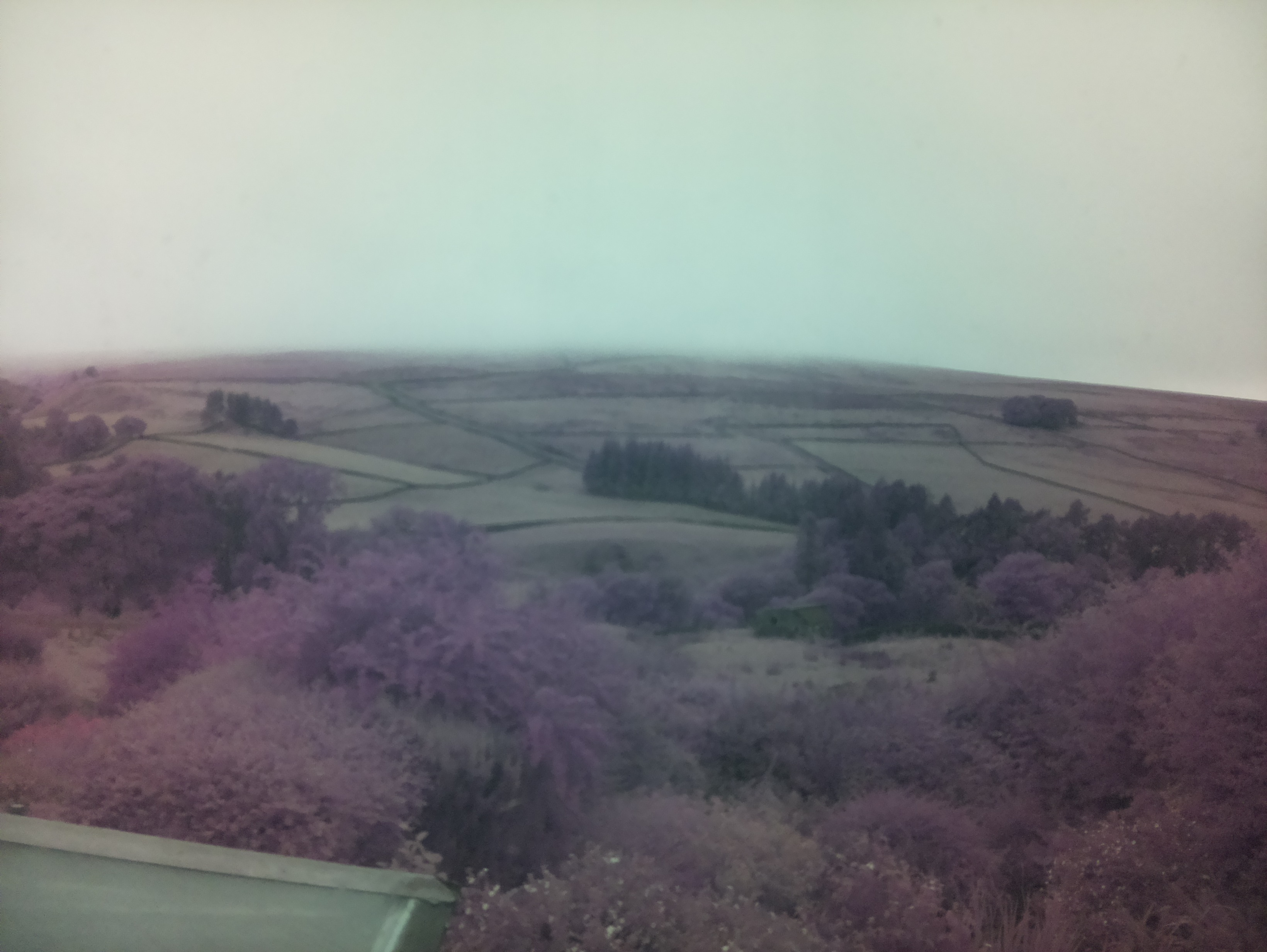 raspi webcam photo