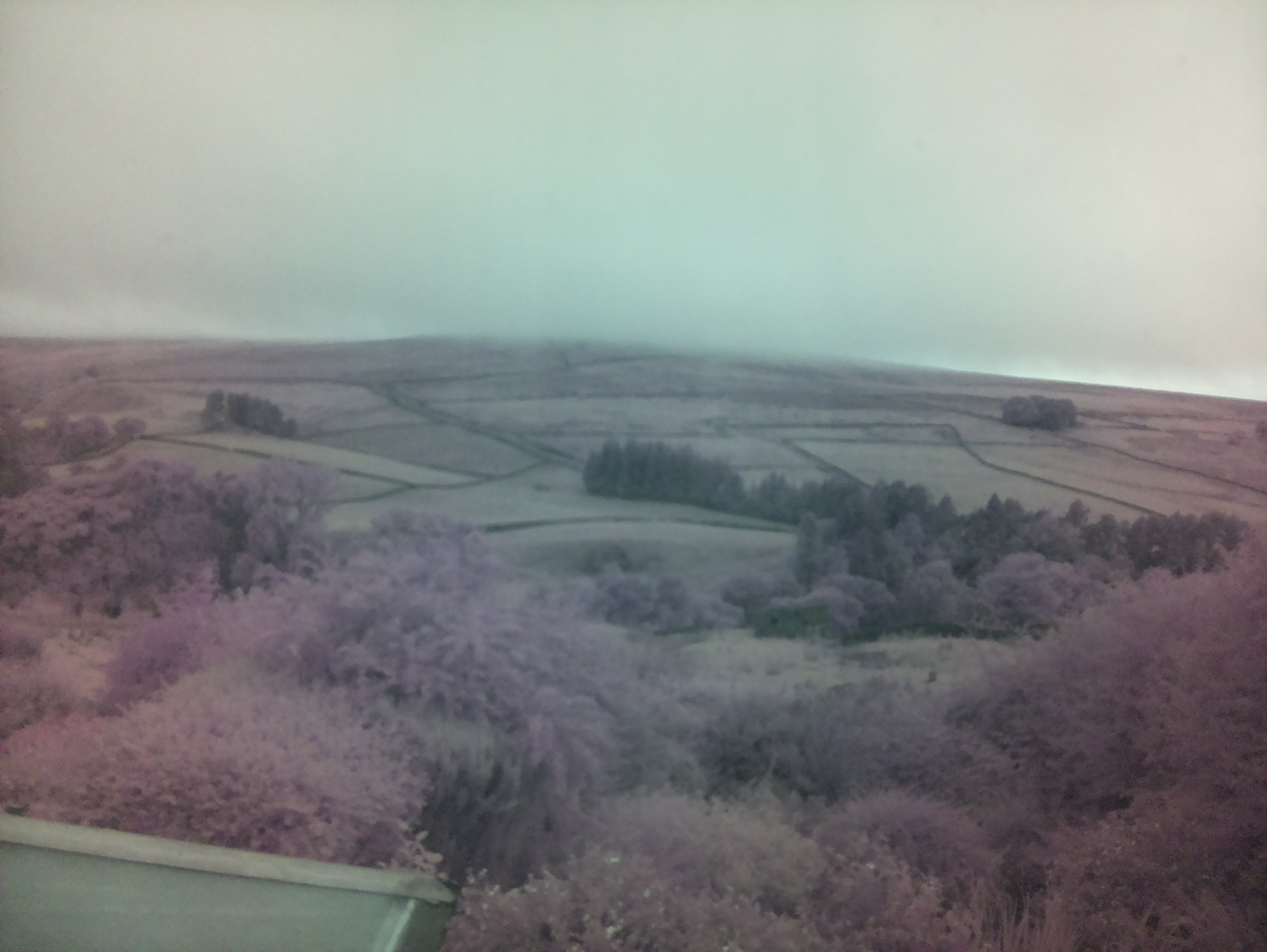 raspi webcam photo