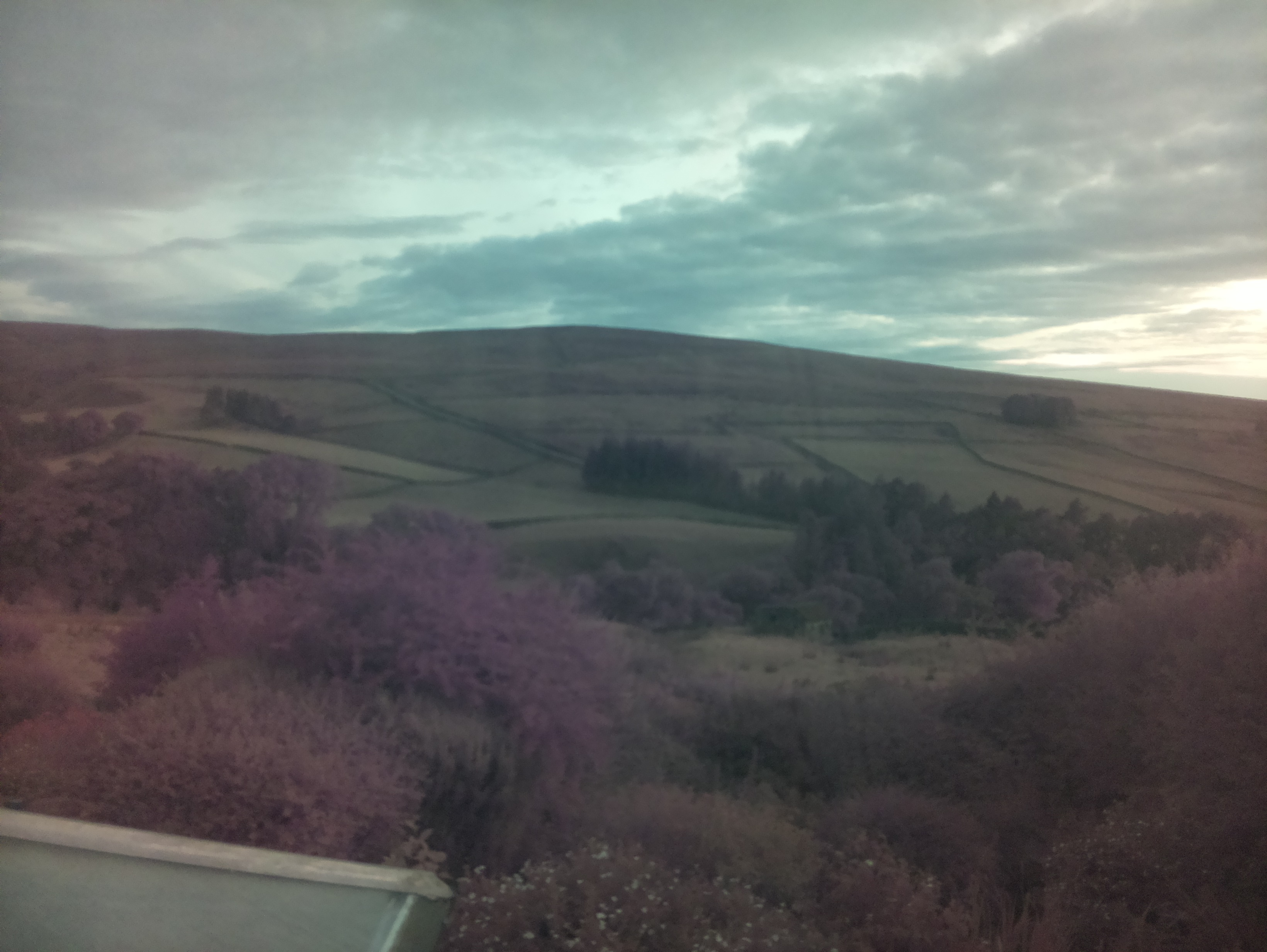 raspi webcam photo
