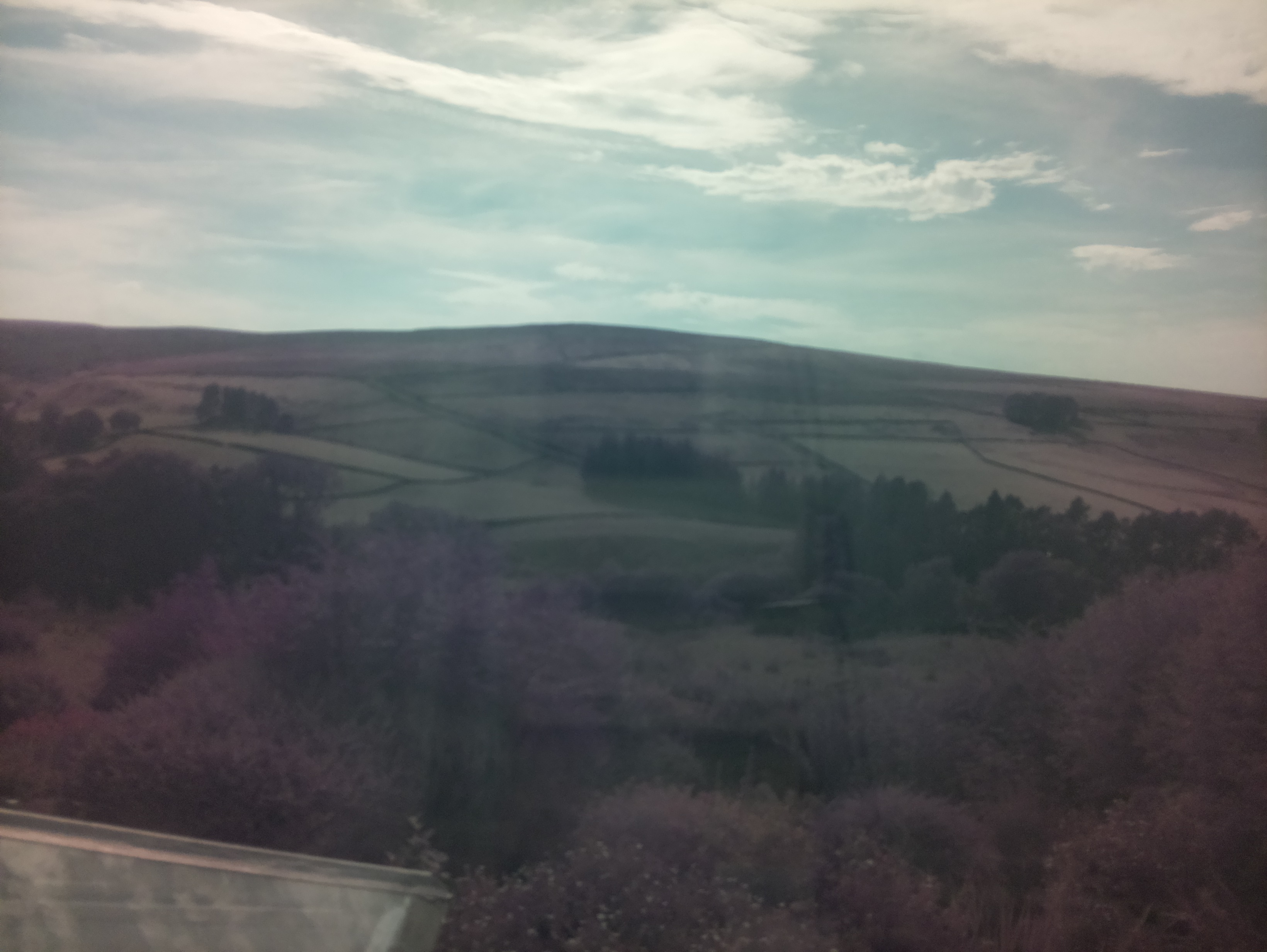 raspi webcam photo