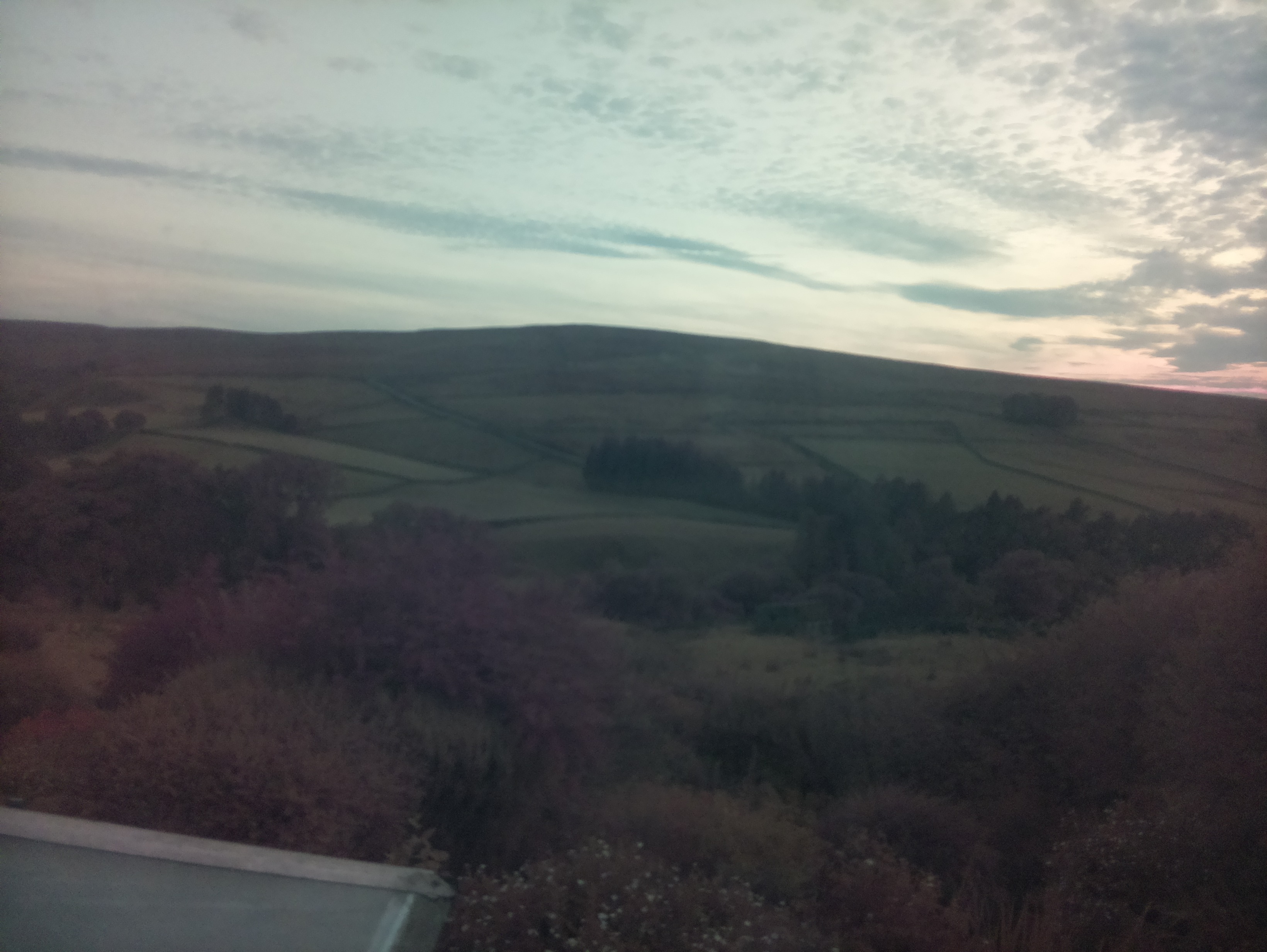 raspi webcam photo