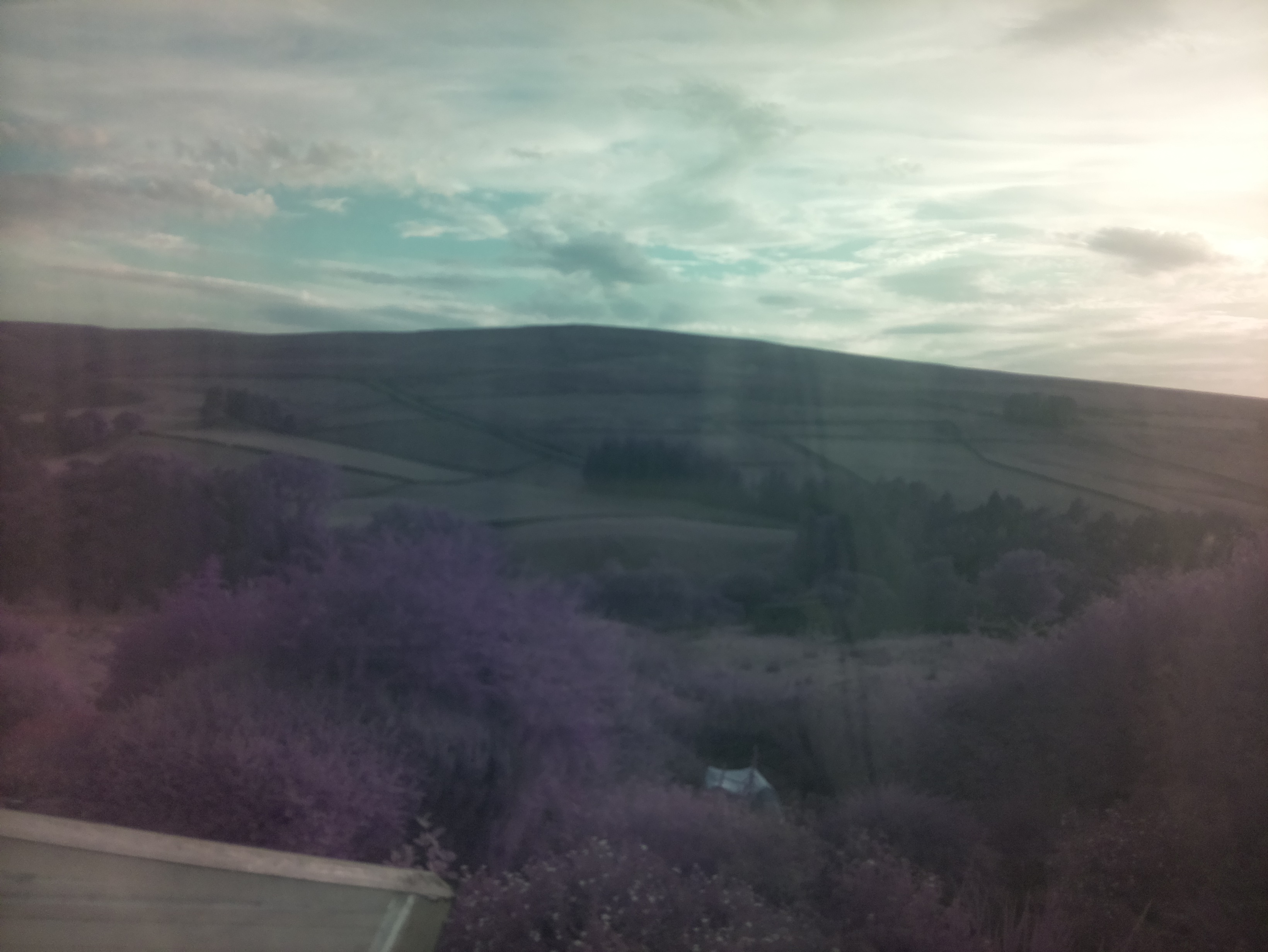 raspi webcam photo