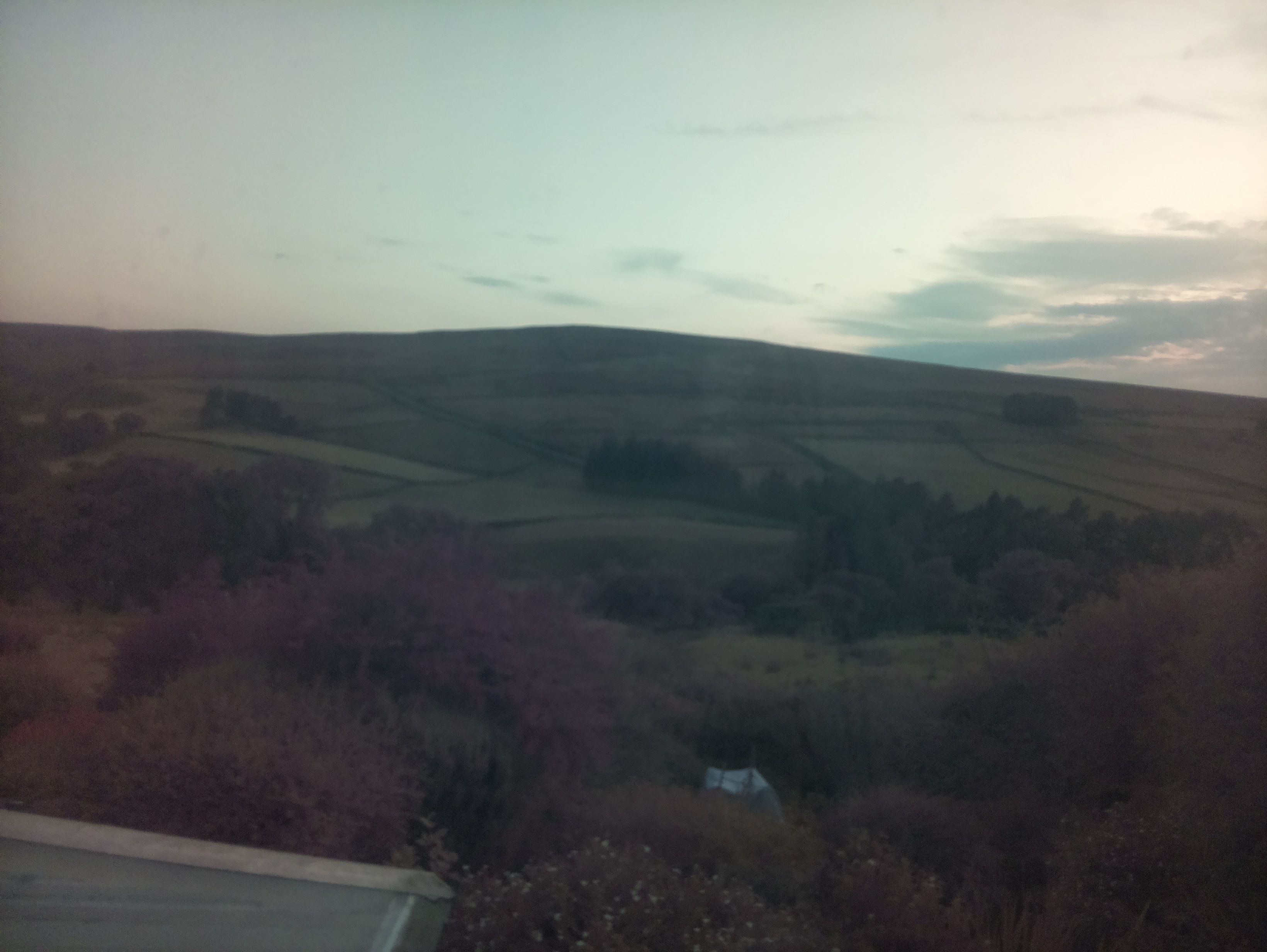 raspi webcam photo