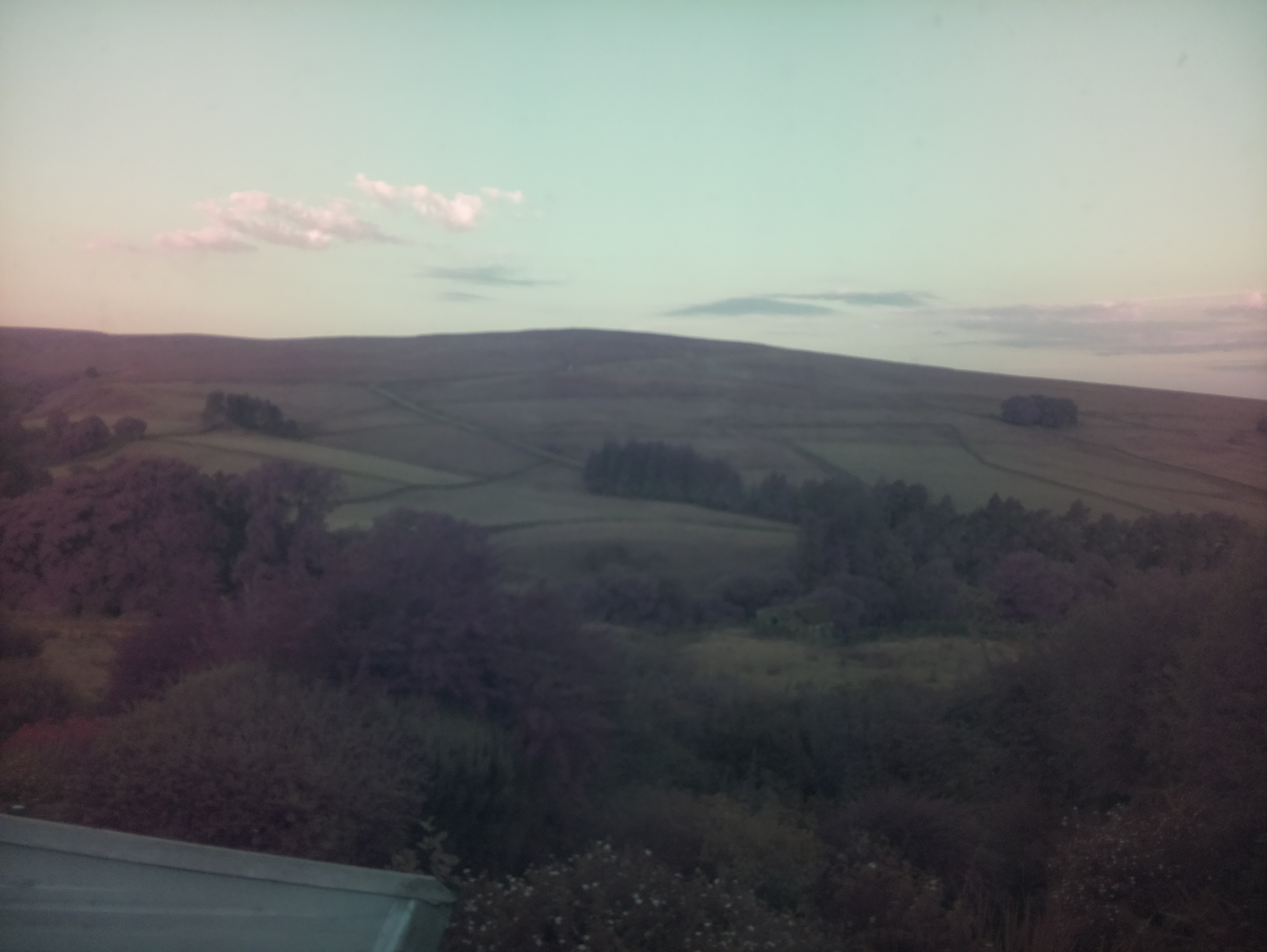 raspi webcam photo