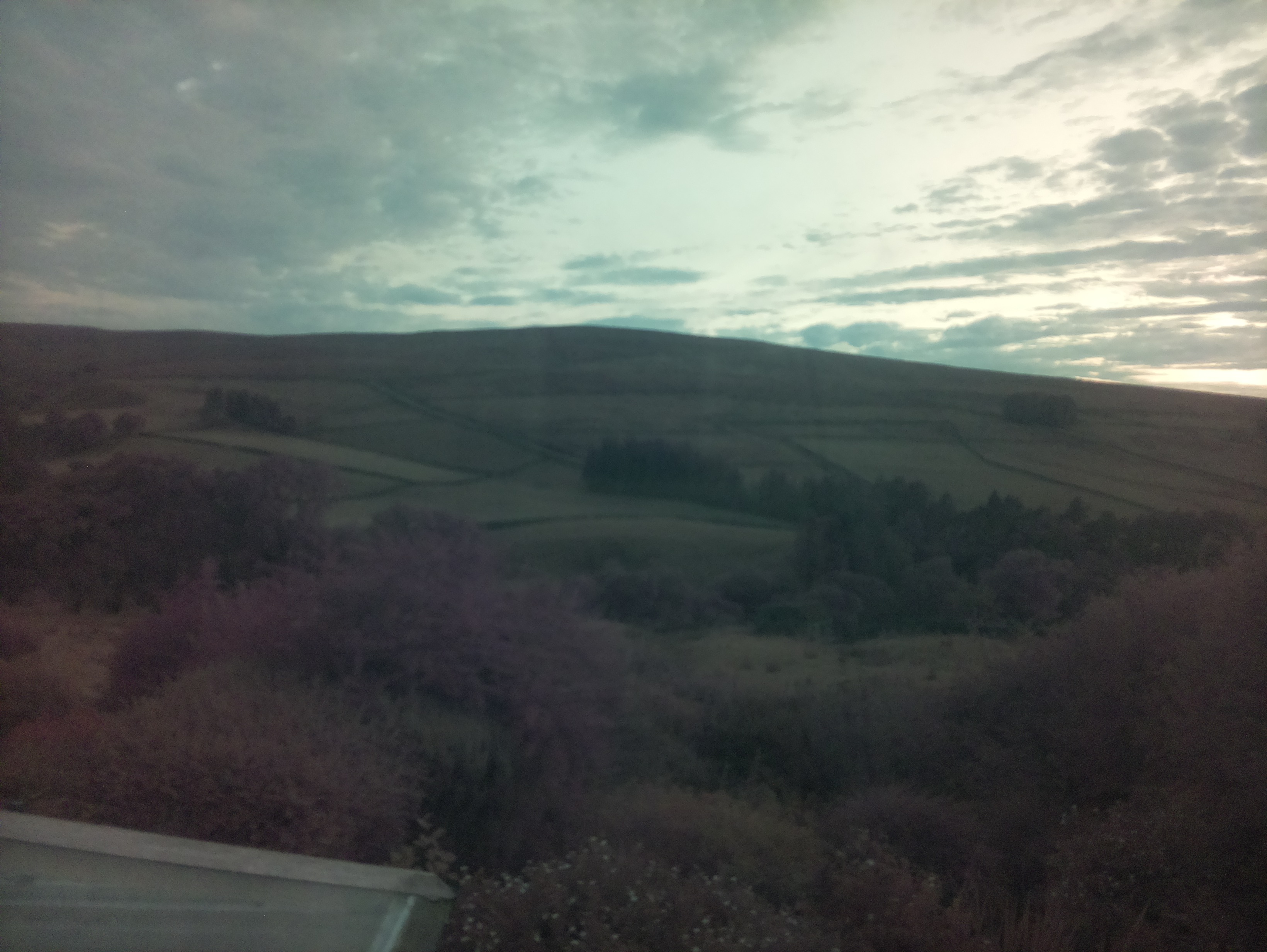 raspi webcam photo