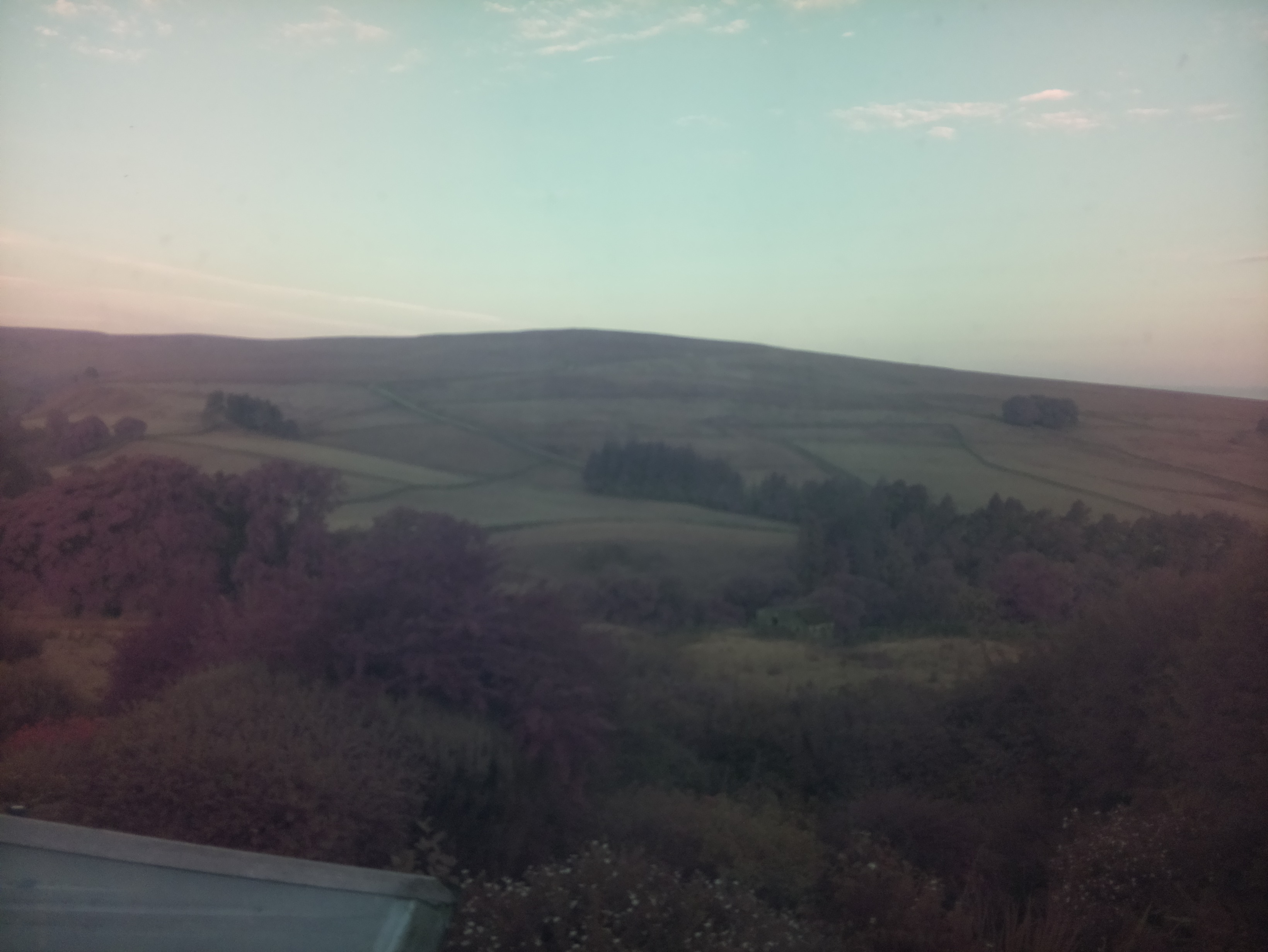 raspi webcam photo
