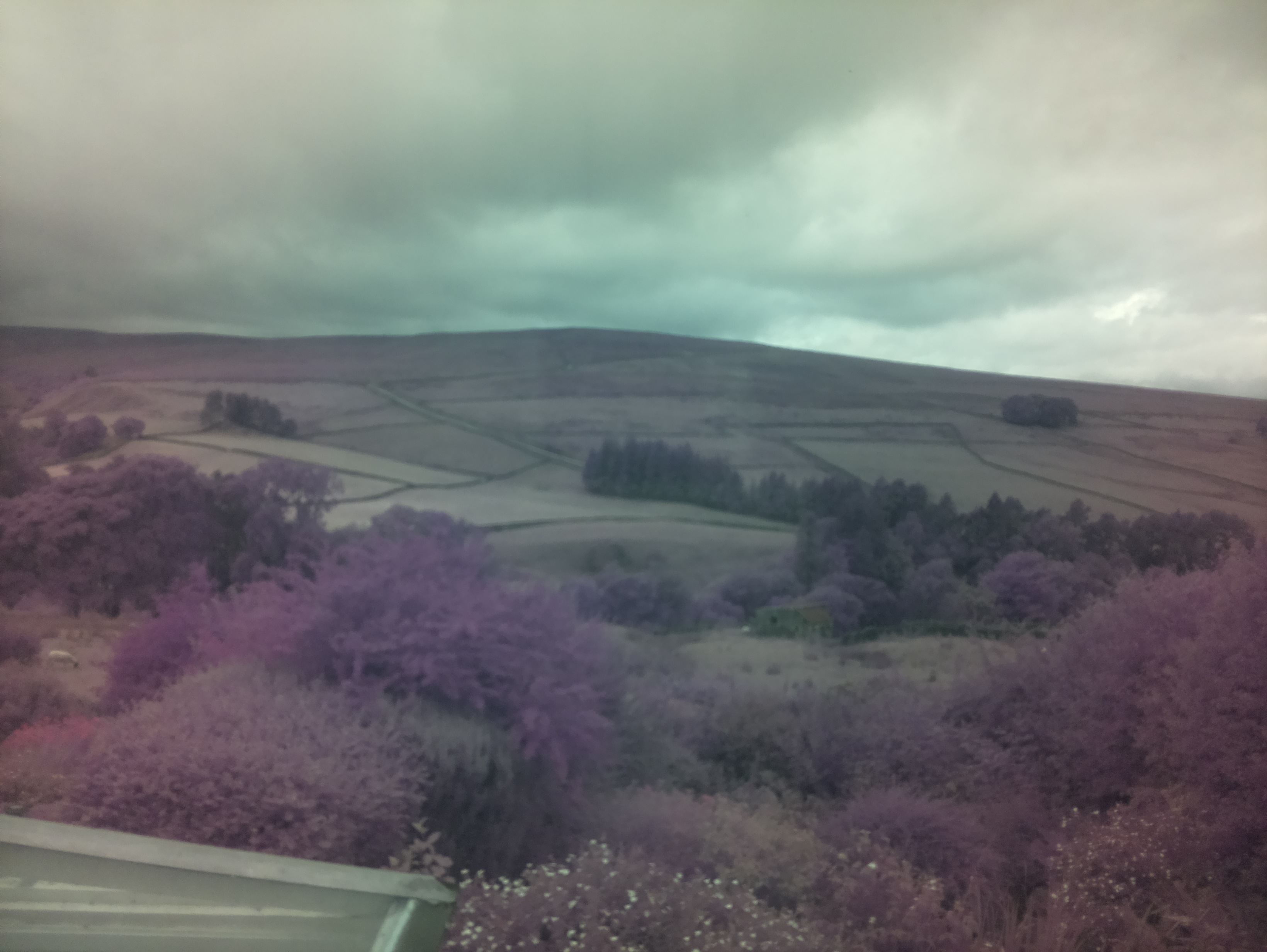 raspi webcam photo