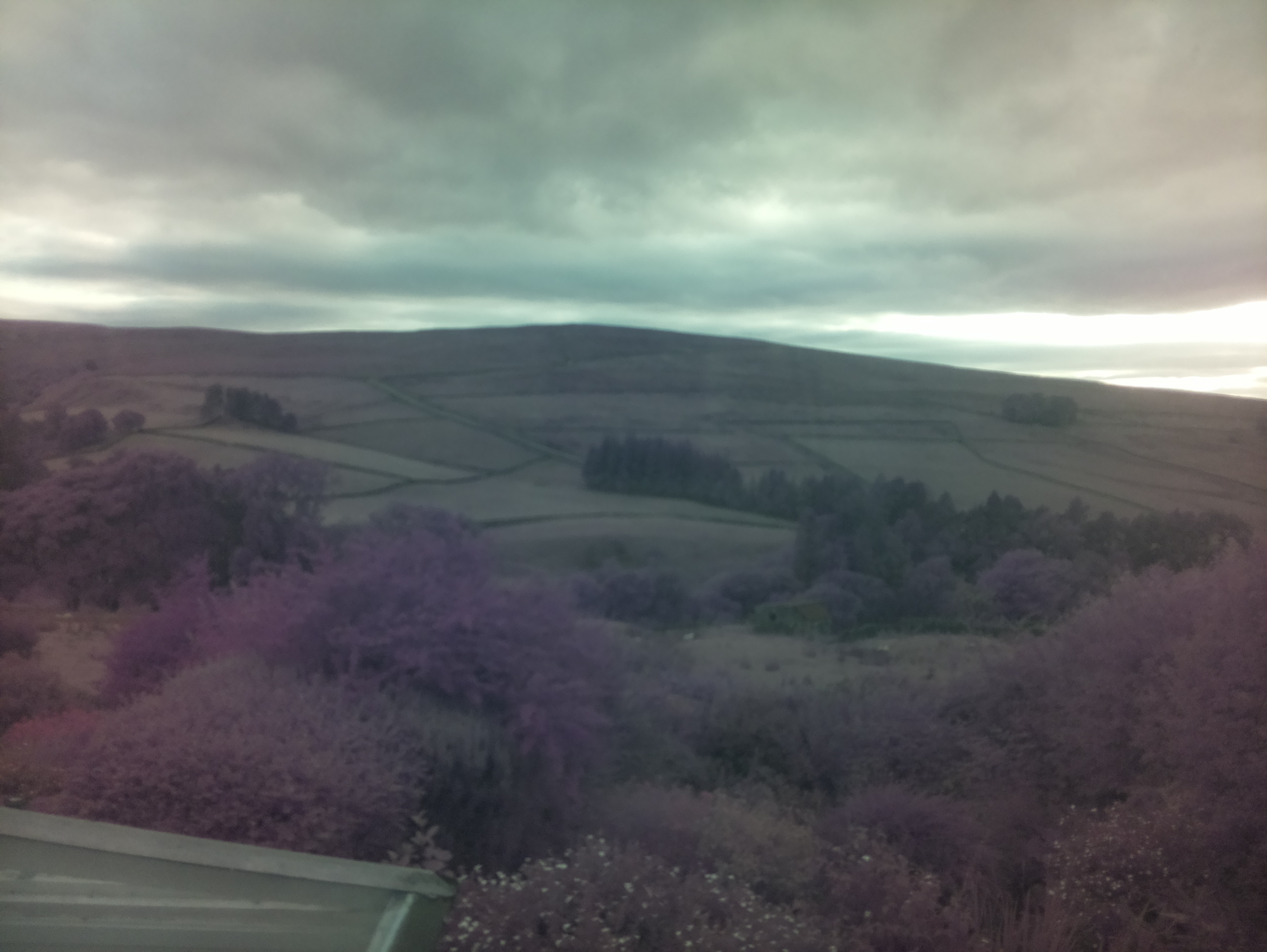 raspi webcam photo