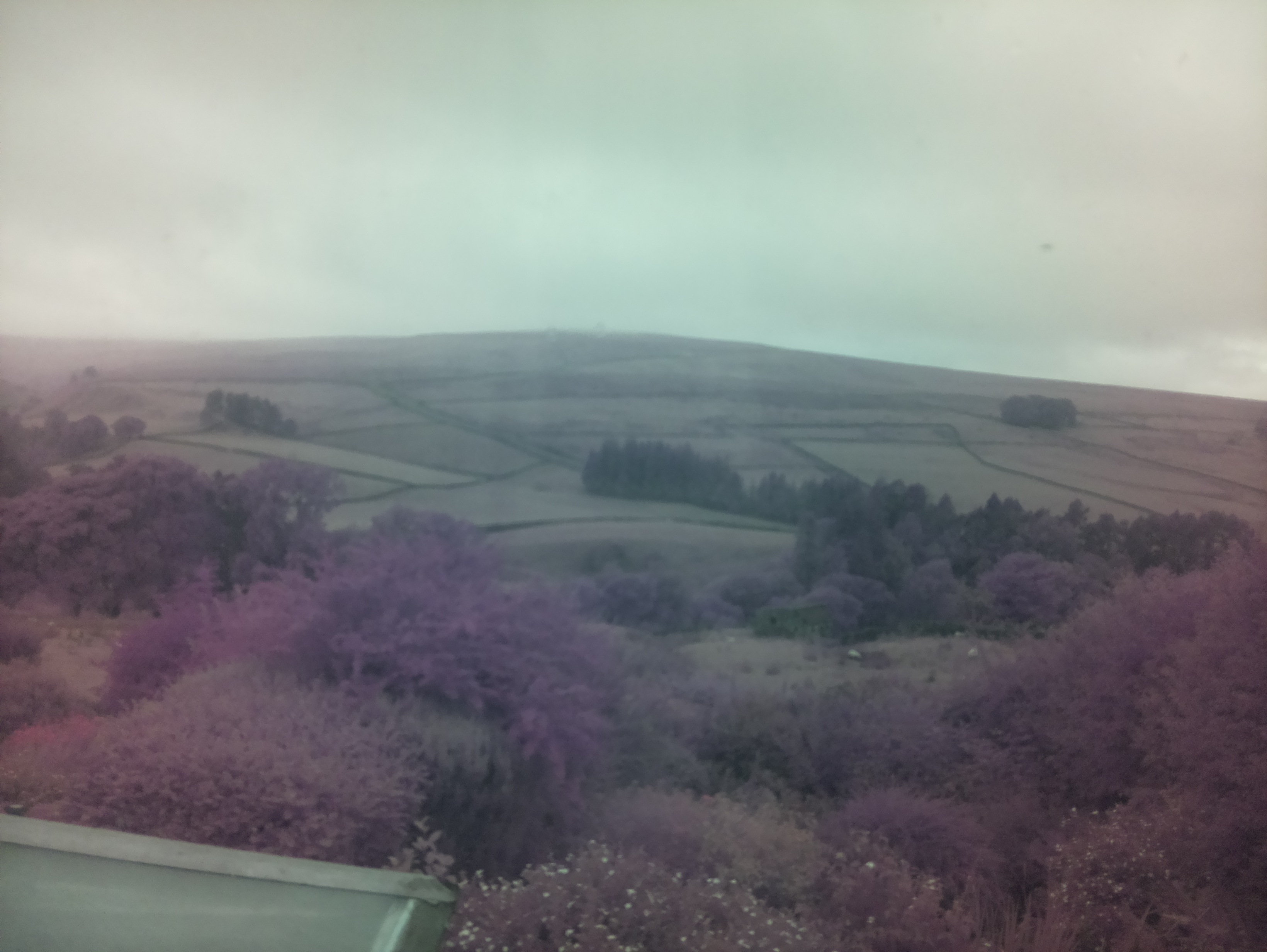 raspi webcam photo