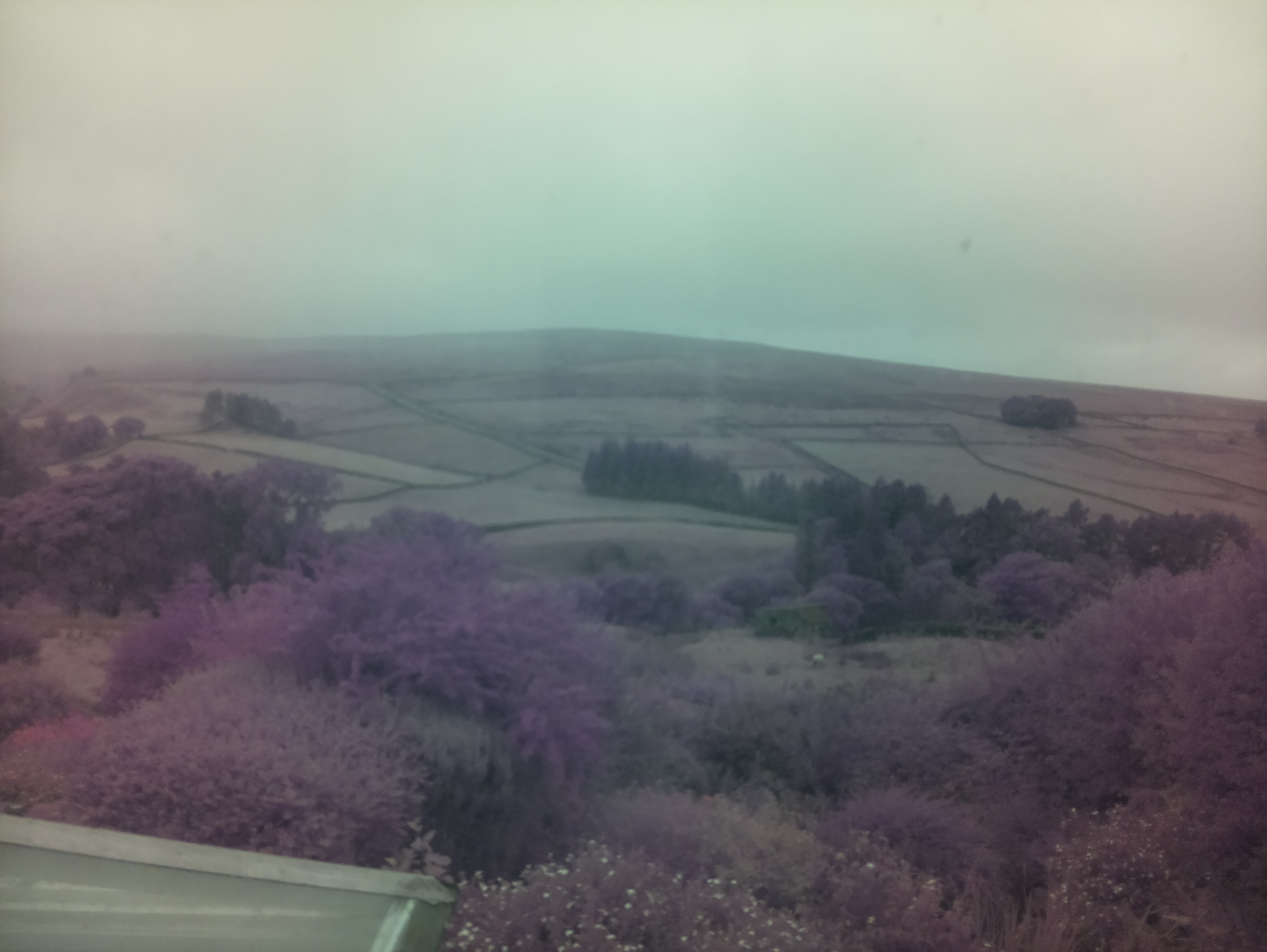 raspi webcam photo