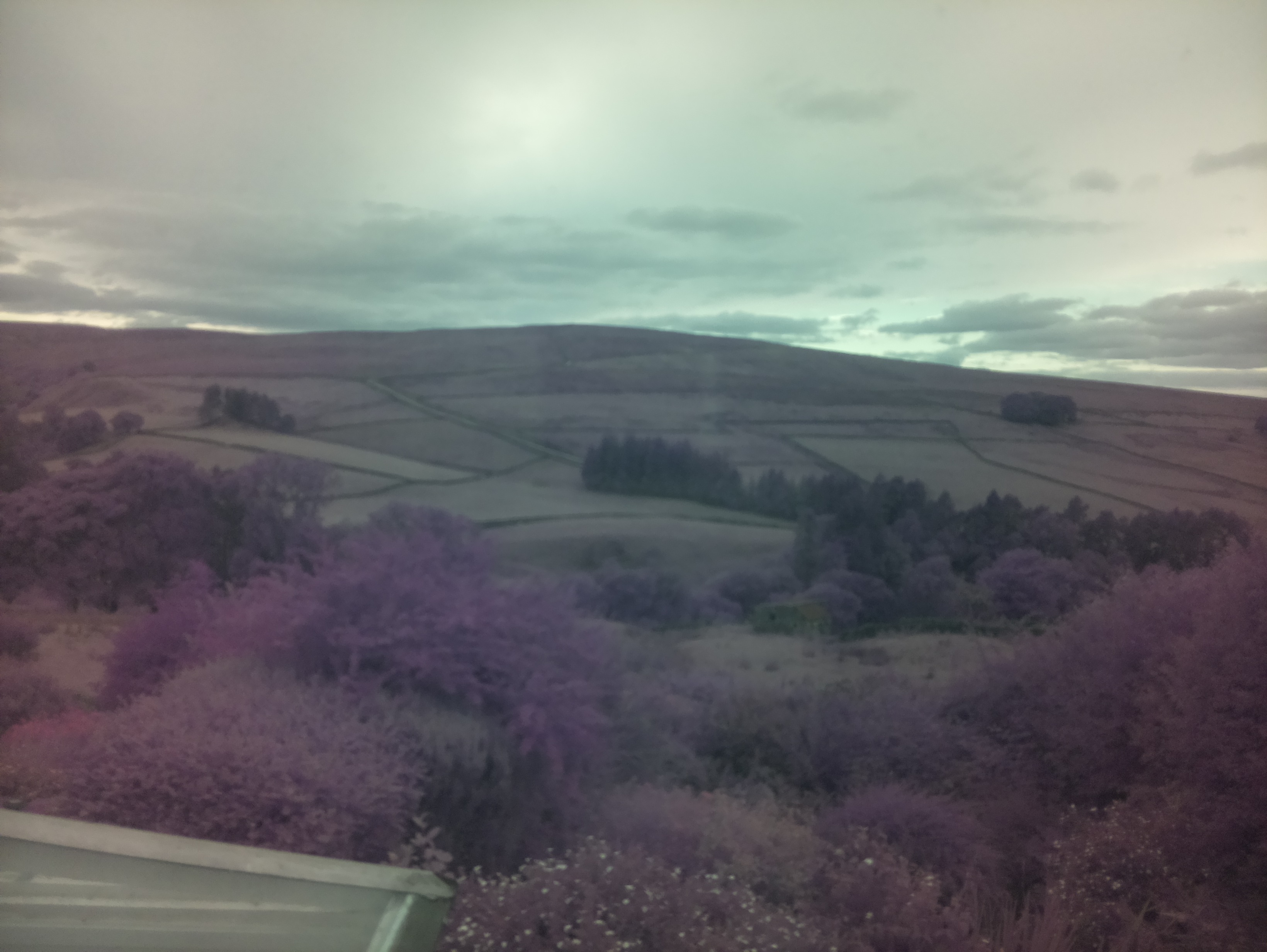 raspi webcam photo