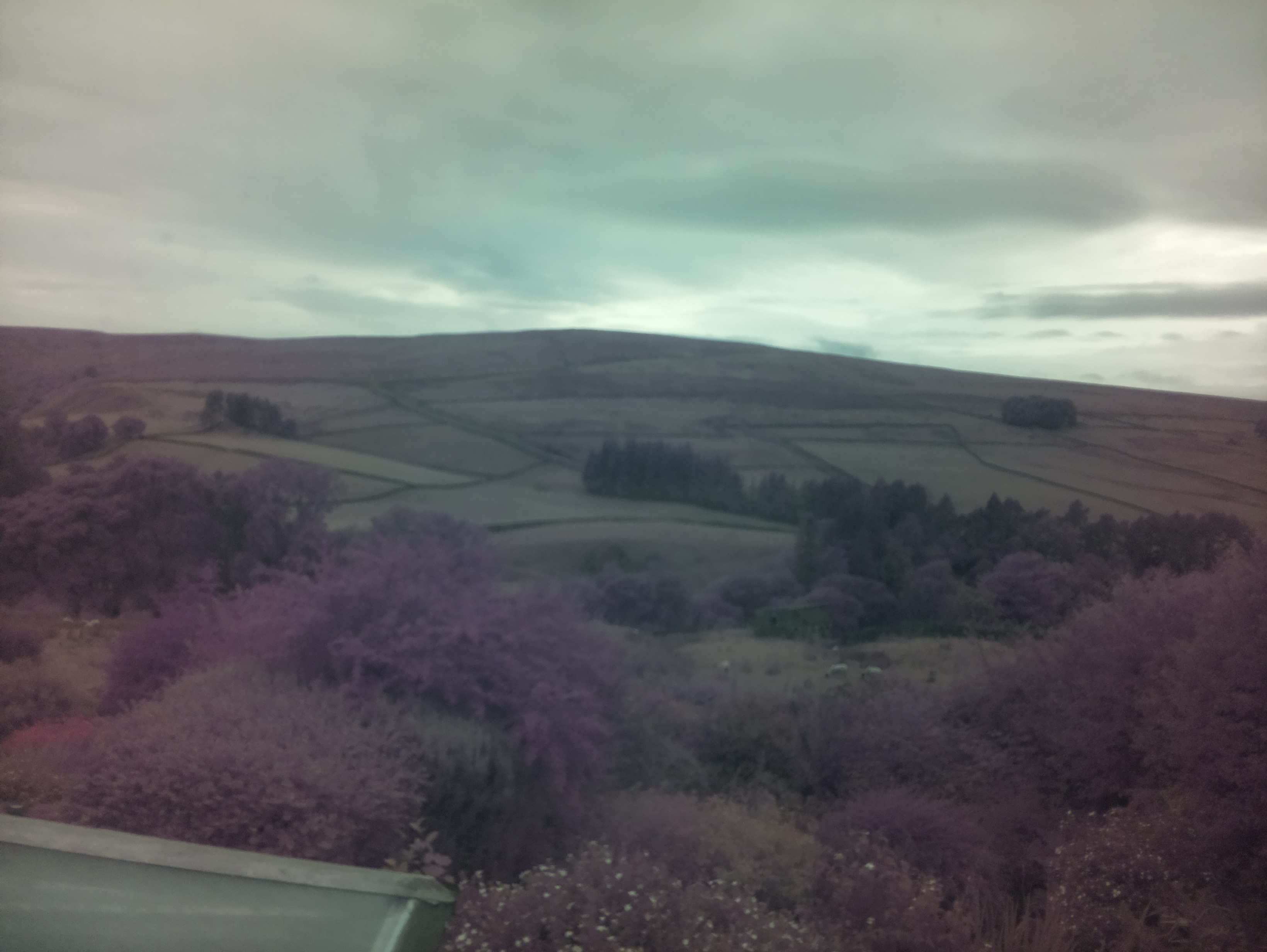 raspi webcam photo