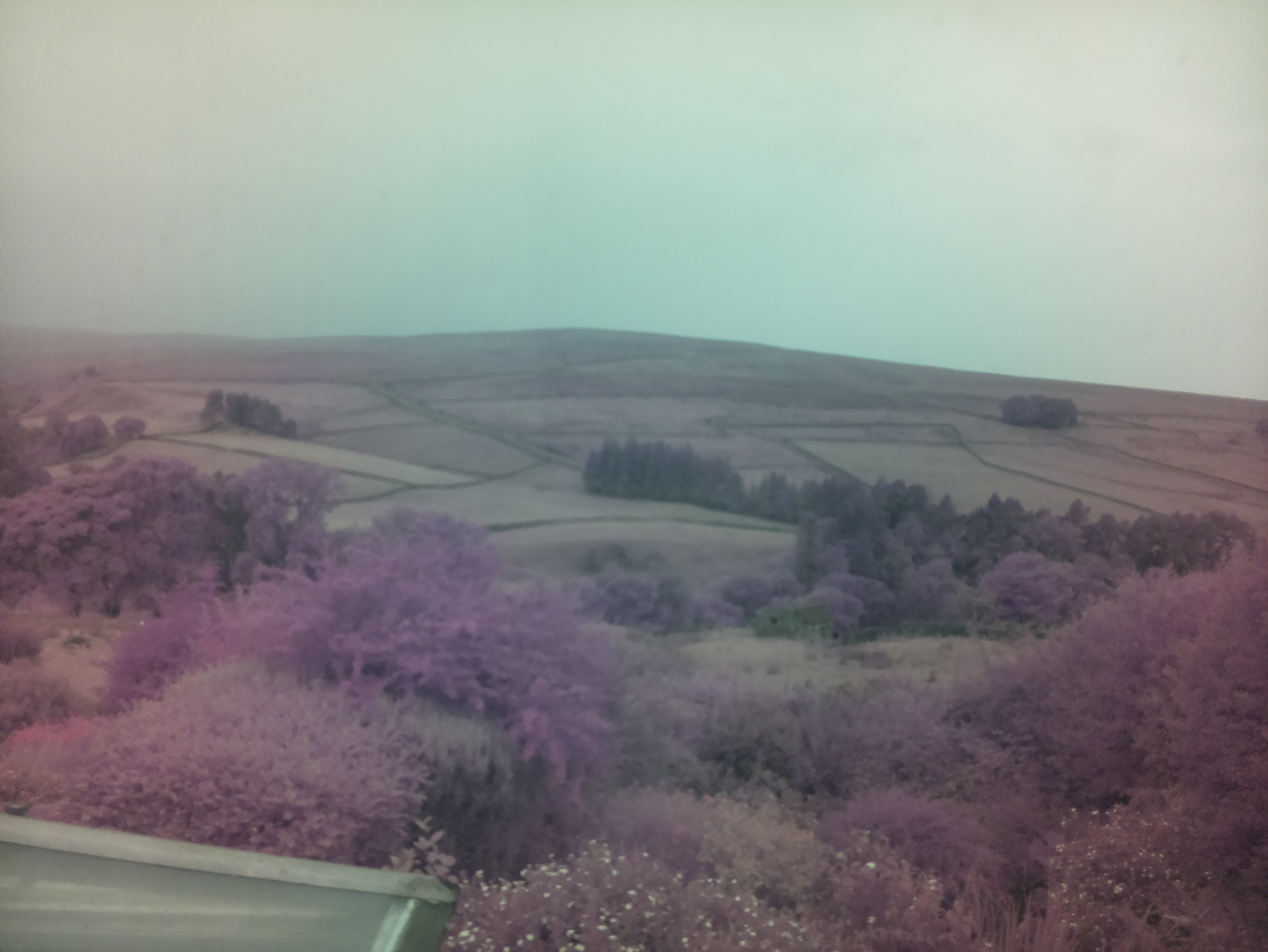 raspi webcam photo