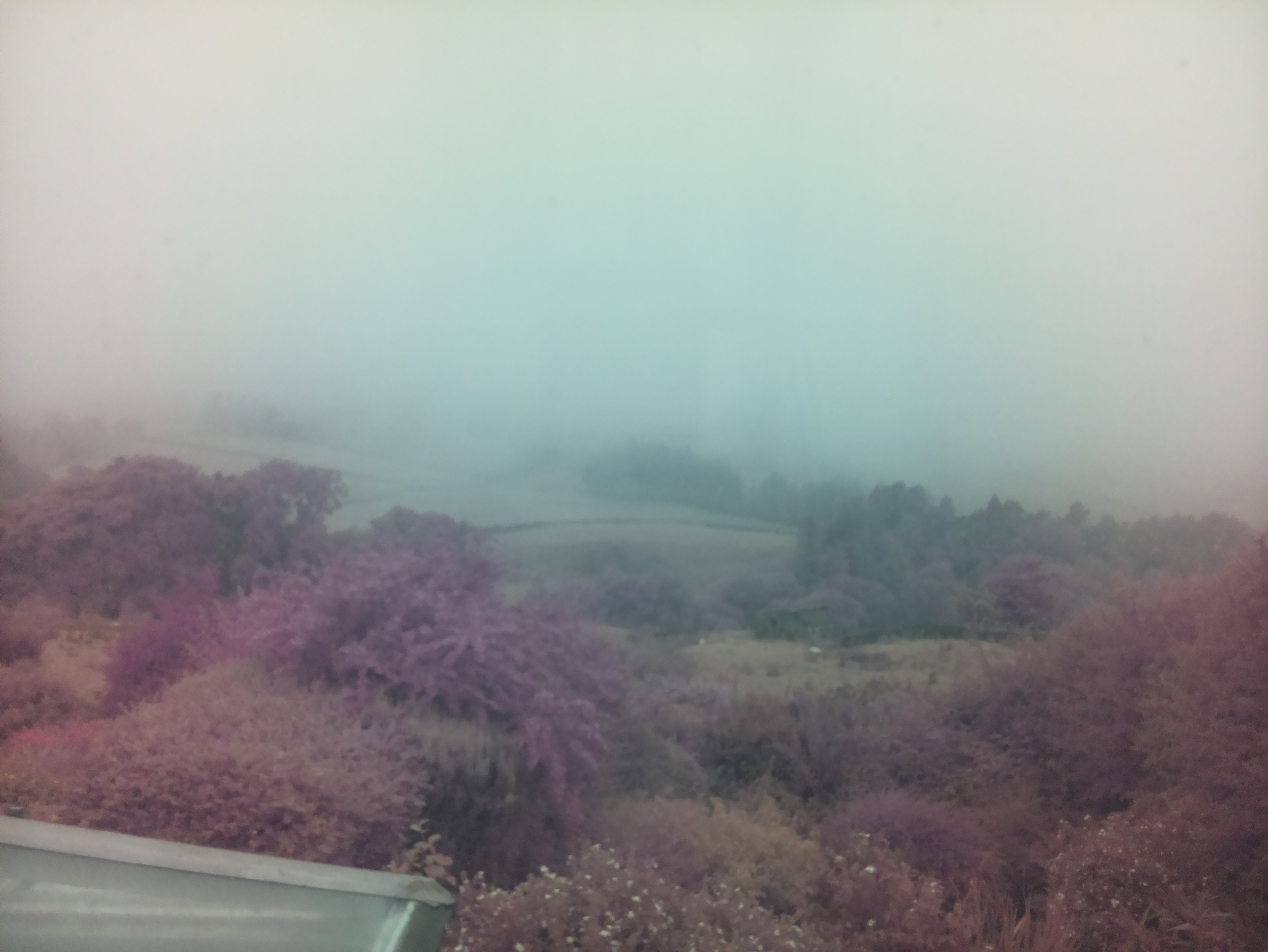 raspi webcam photo
