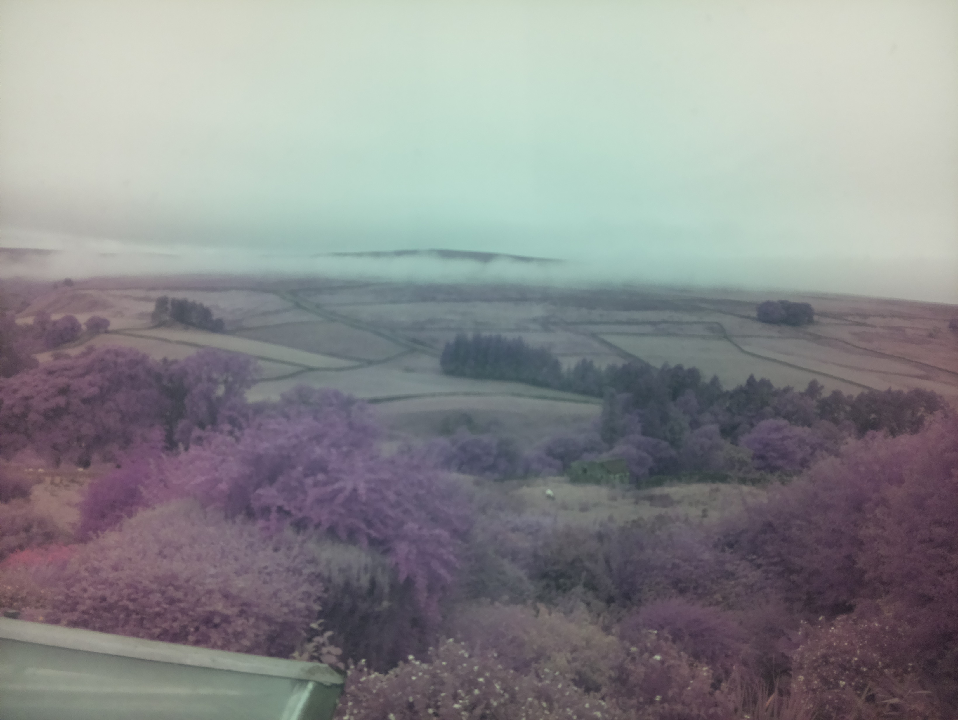 raspi webcam photo