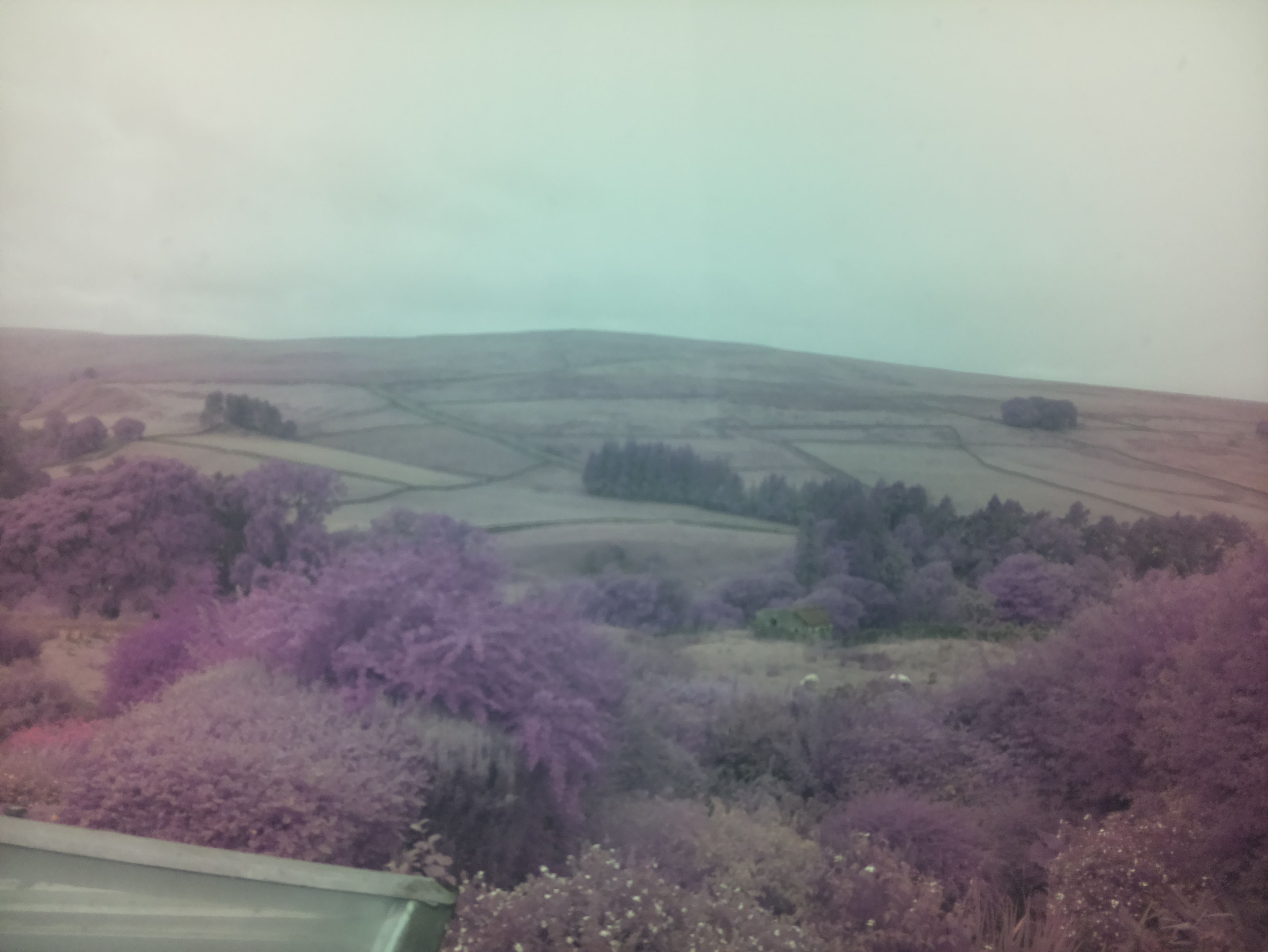 raspi webcam photo