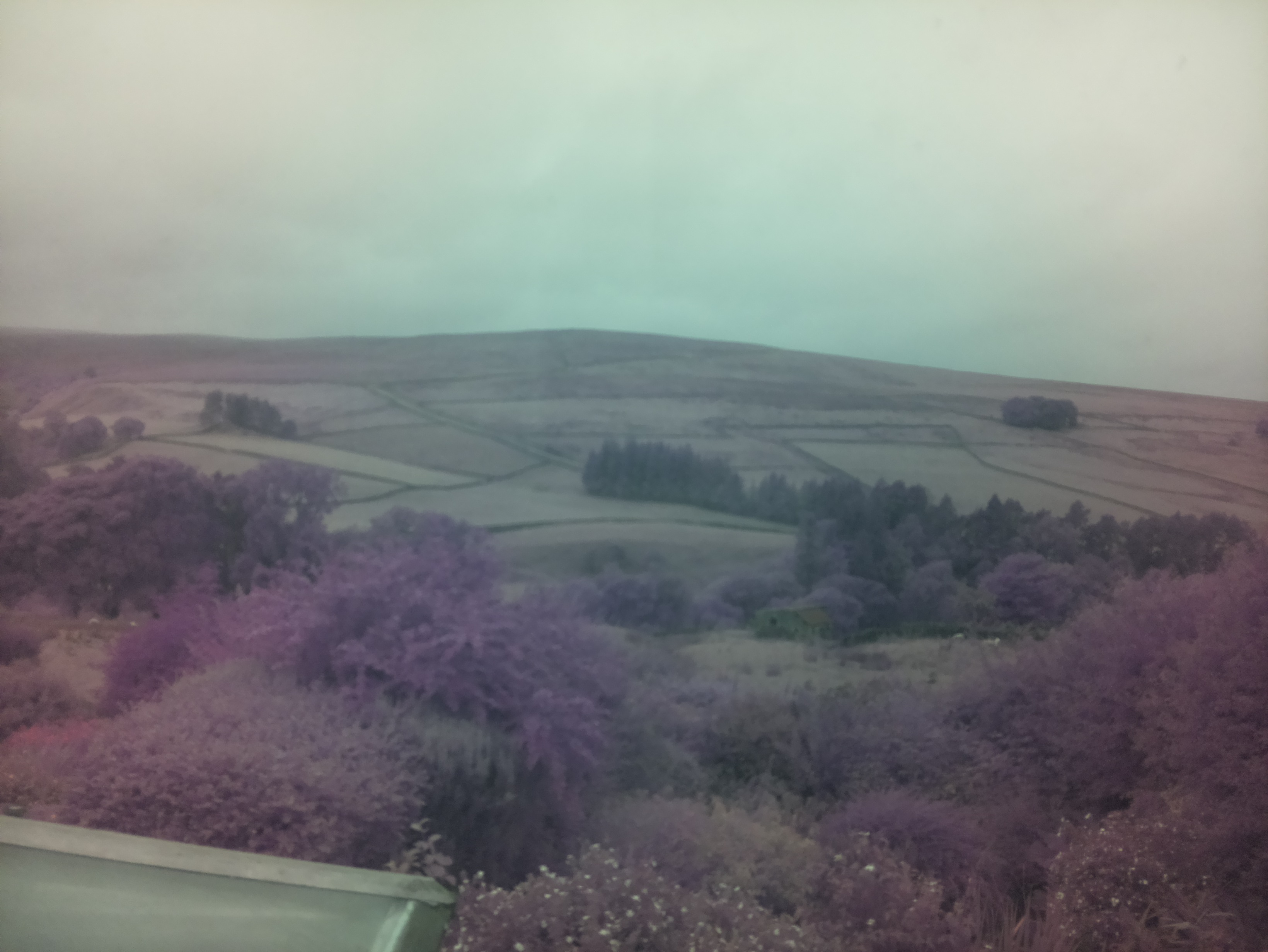 raspi webcam photo