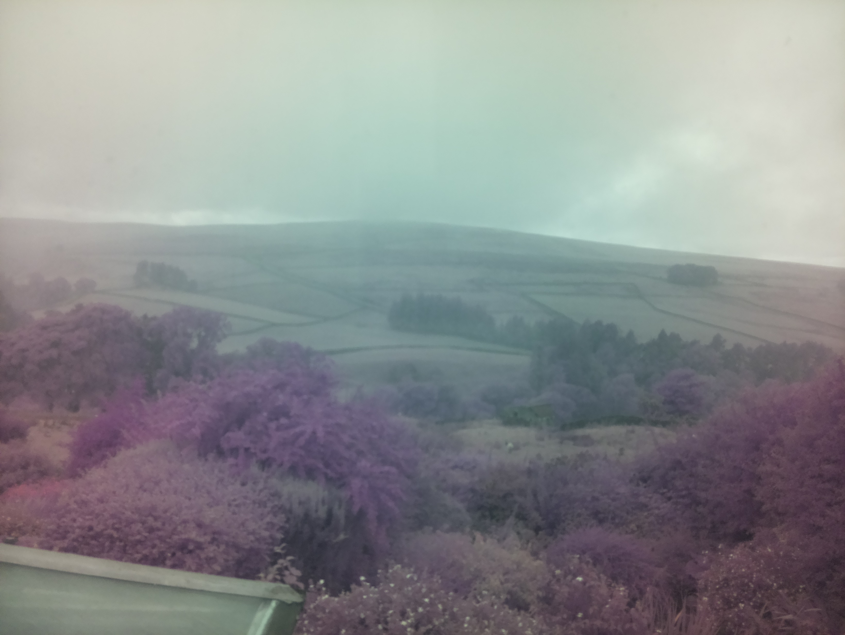 raspi webcam photo