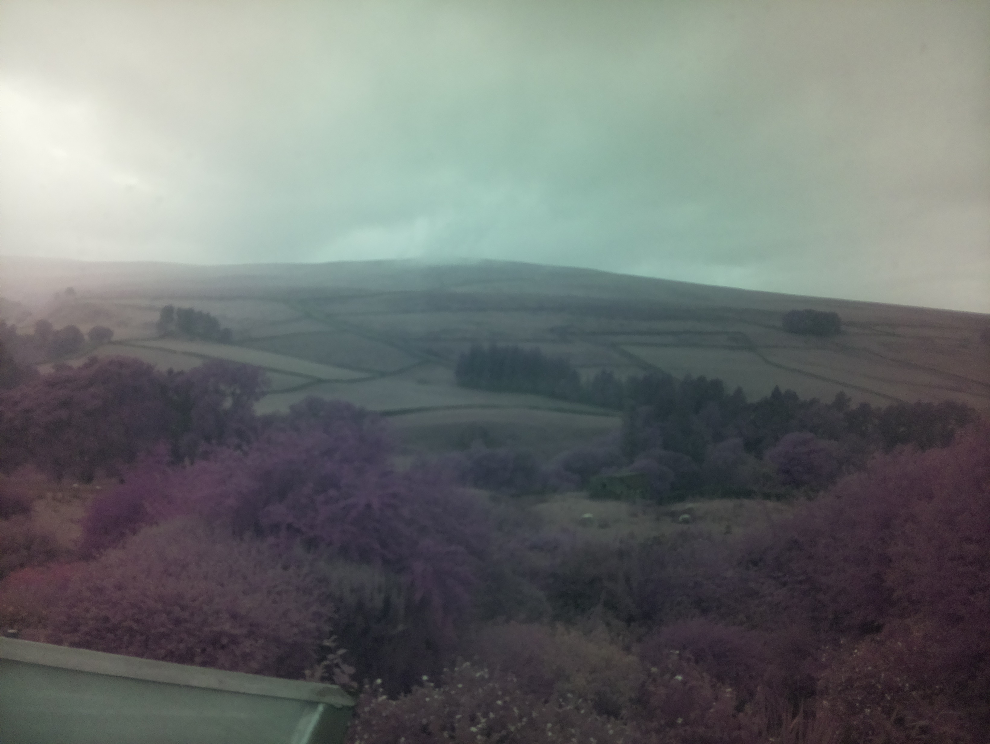 raspi webcam photo