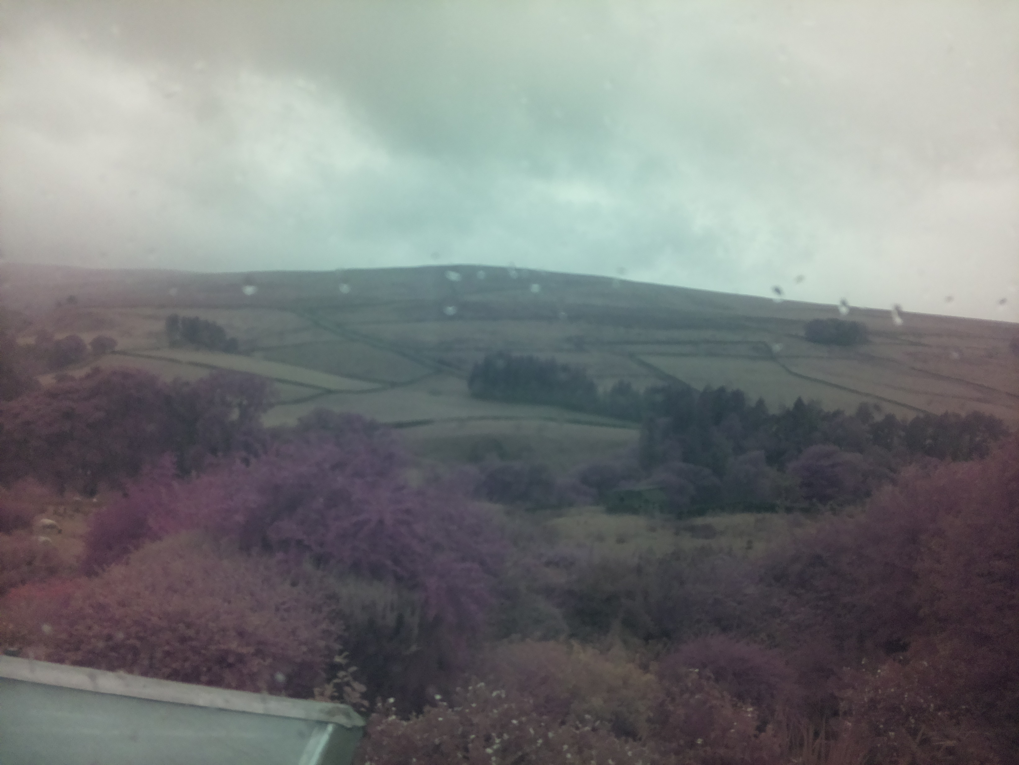 raspi webcam photo