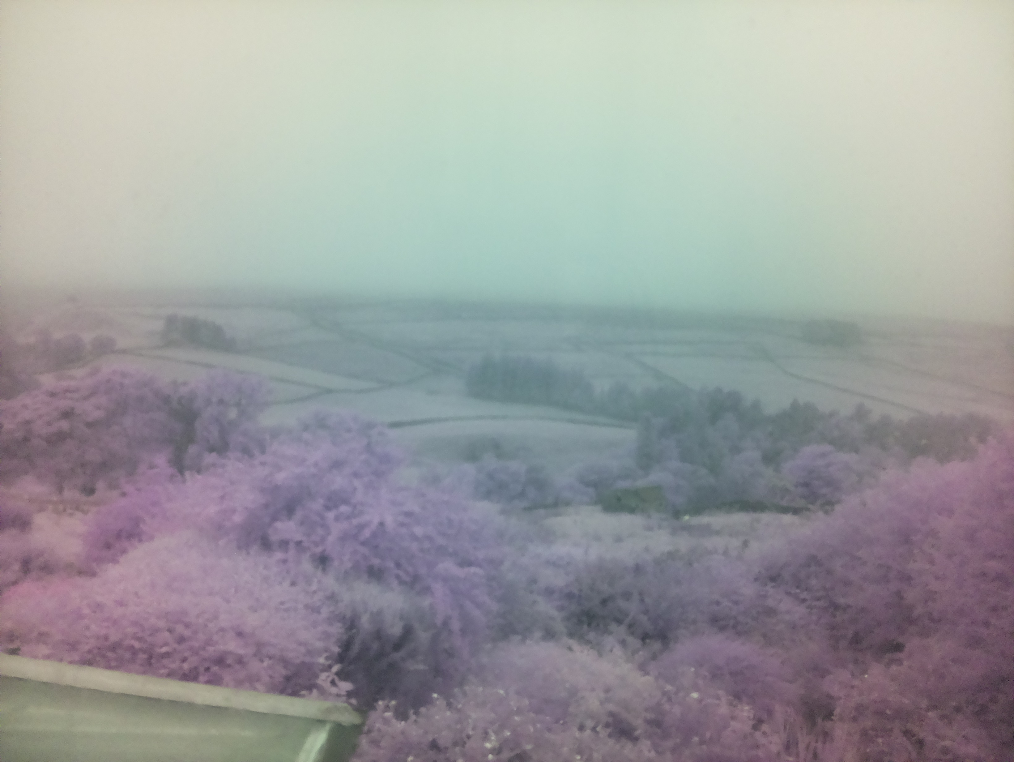 raspi webcam photo