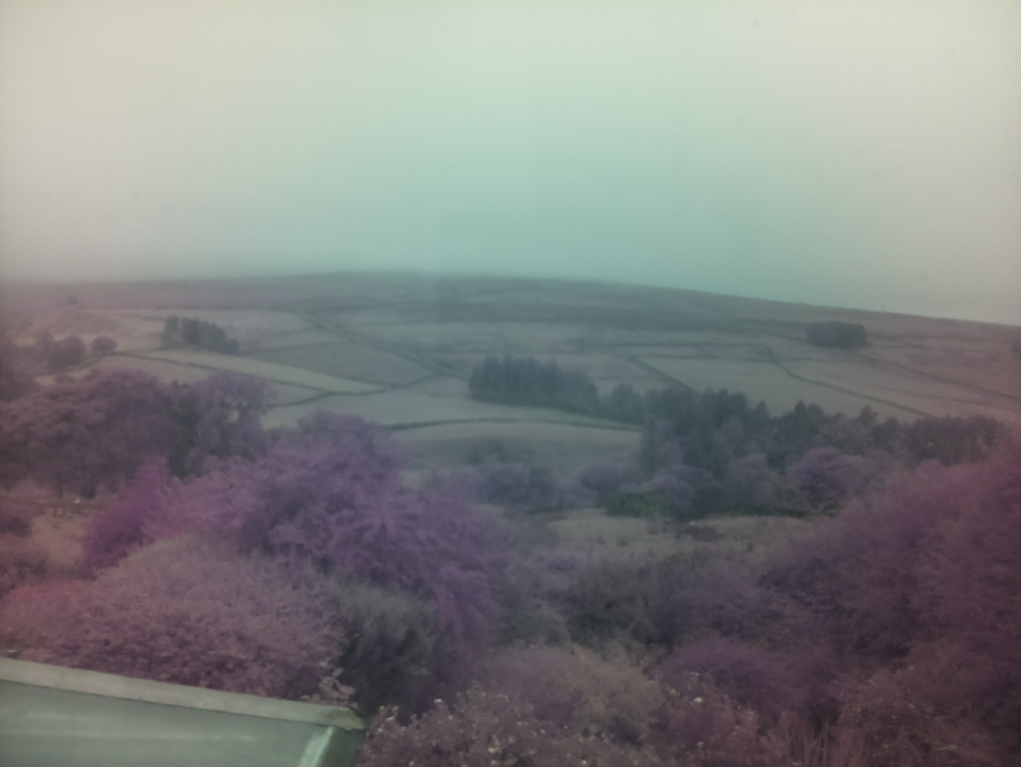 raspi webcam photo