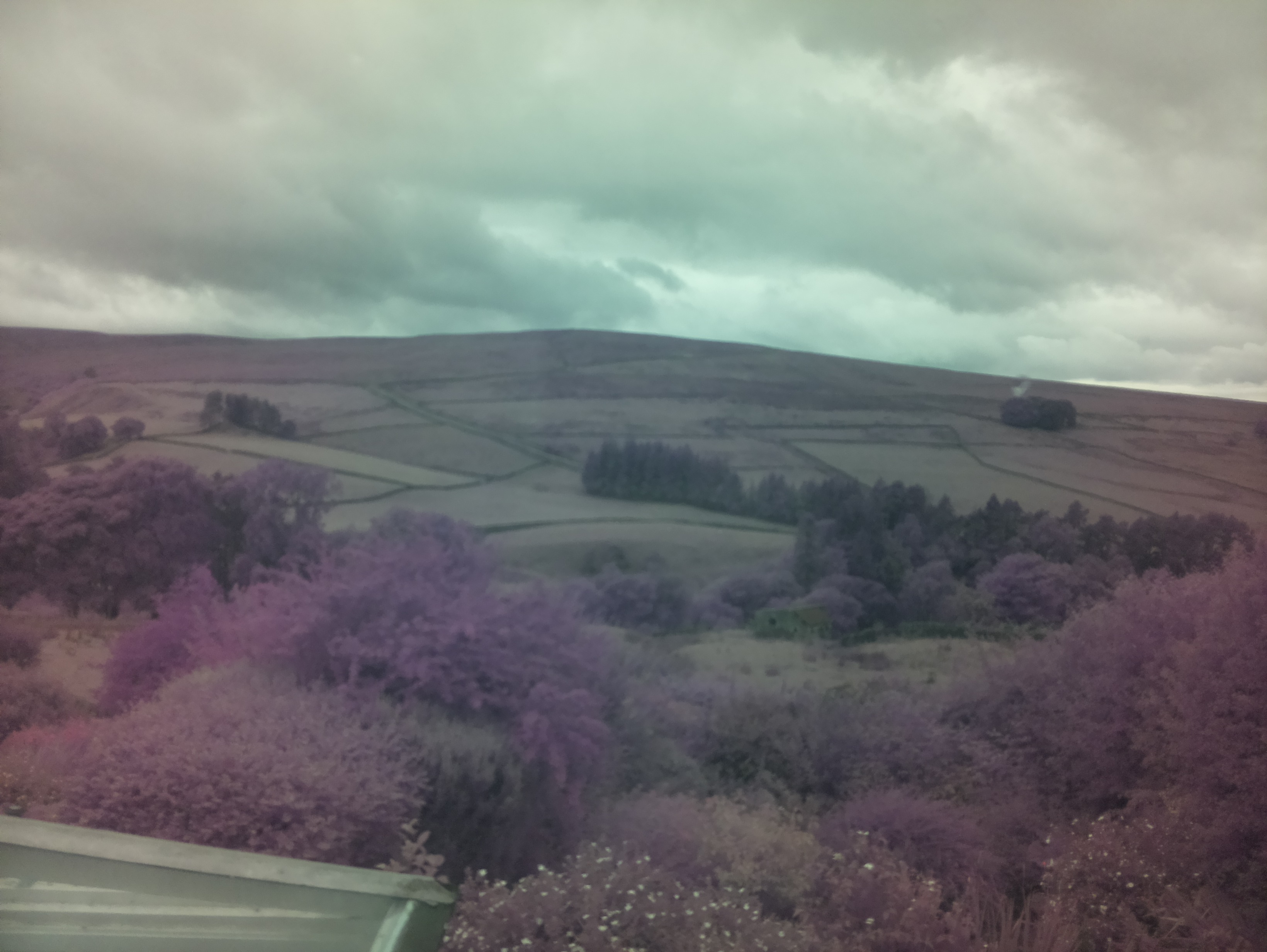 raspi webcam photo