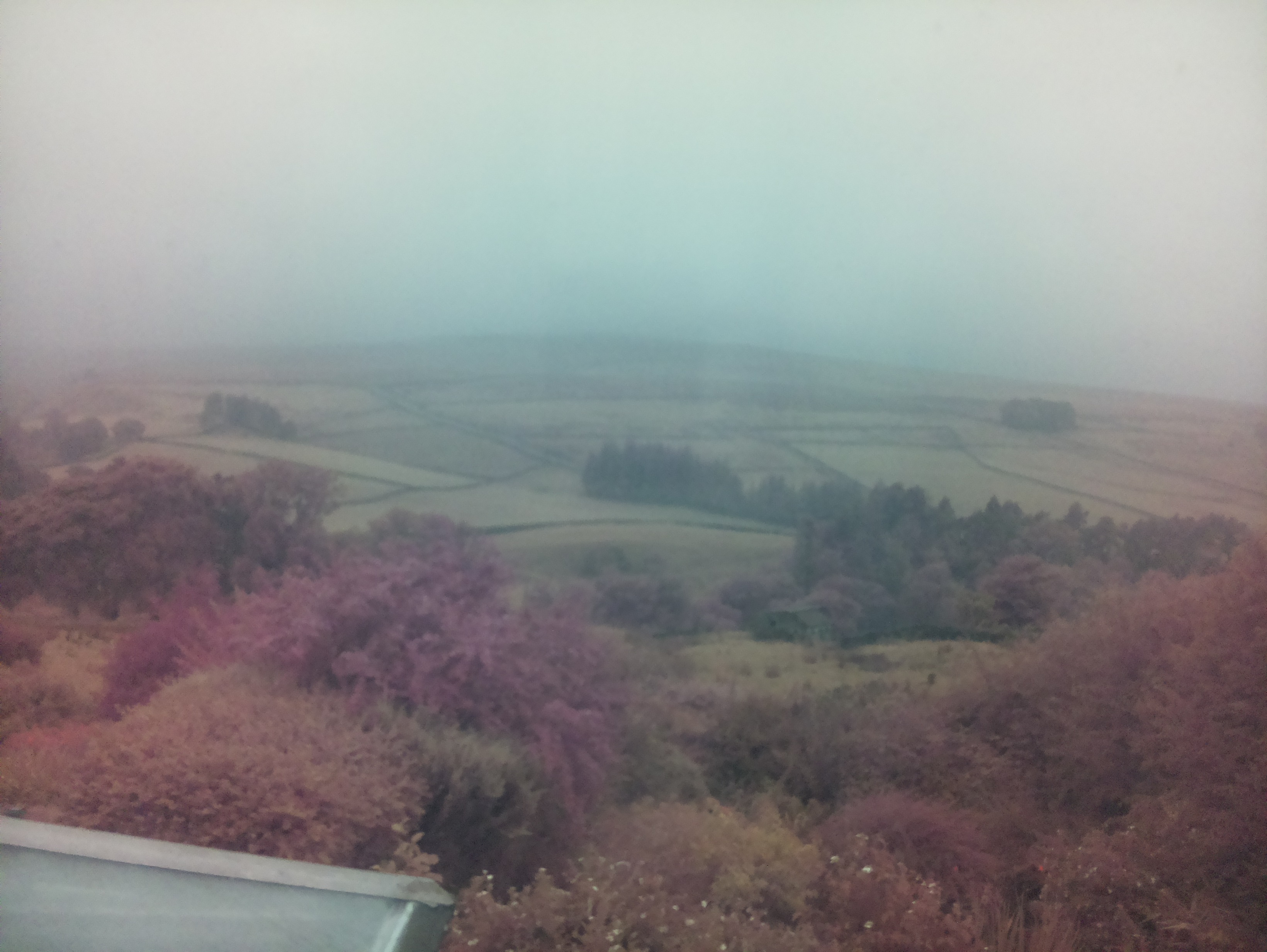 raspi webcam photo