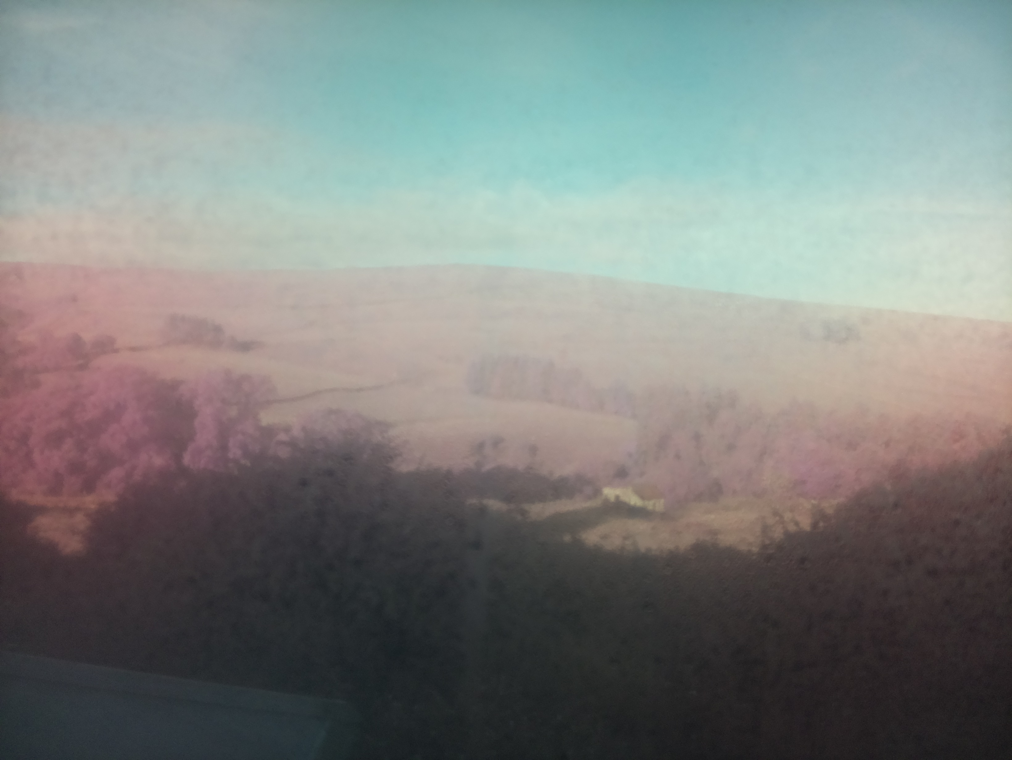 raspi webcam photo
