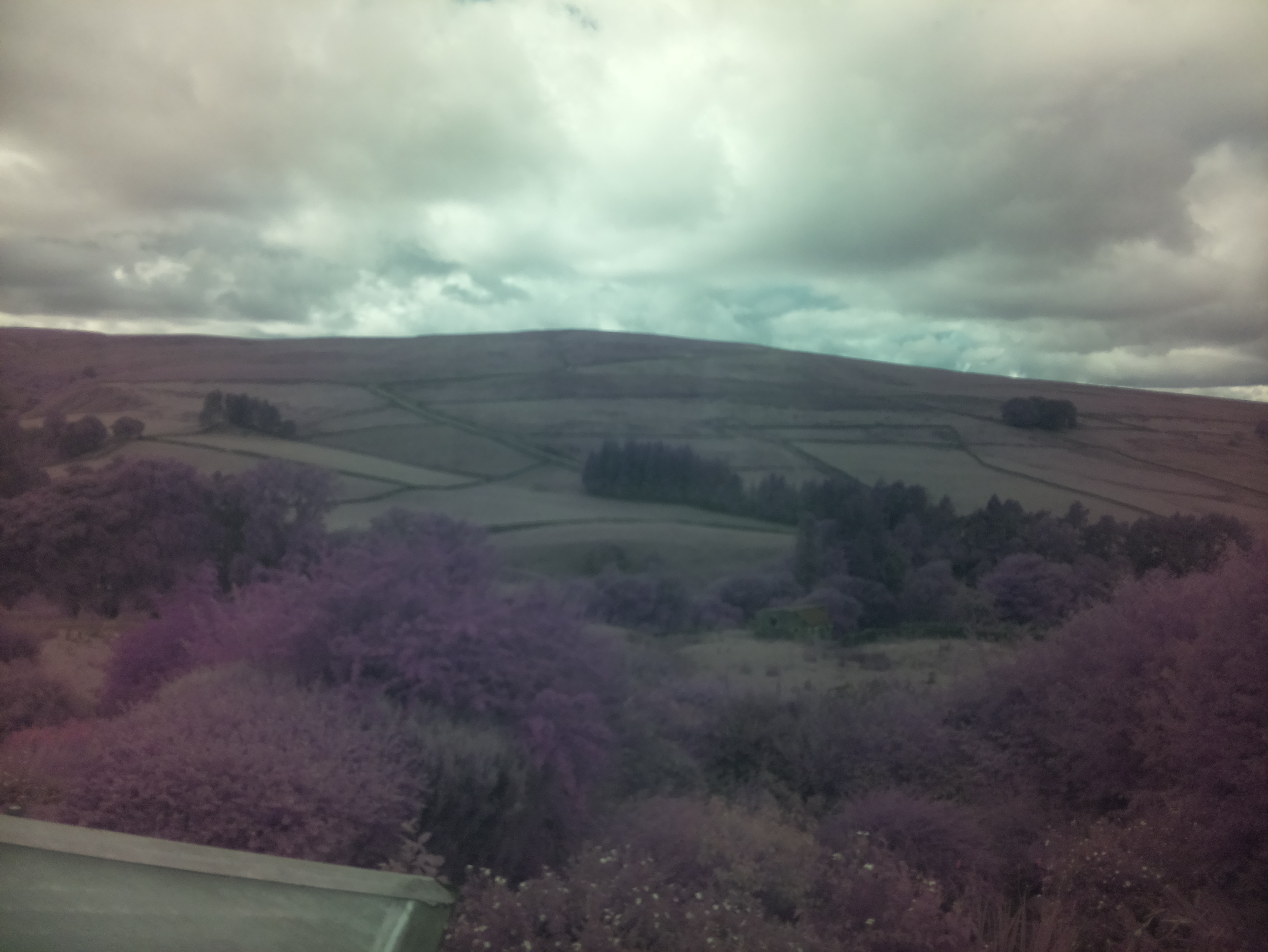 raspi webcam photo