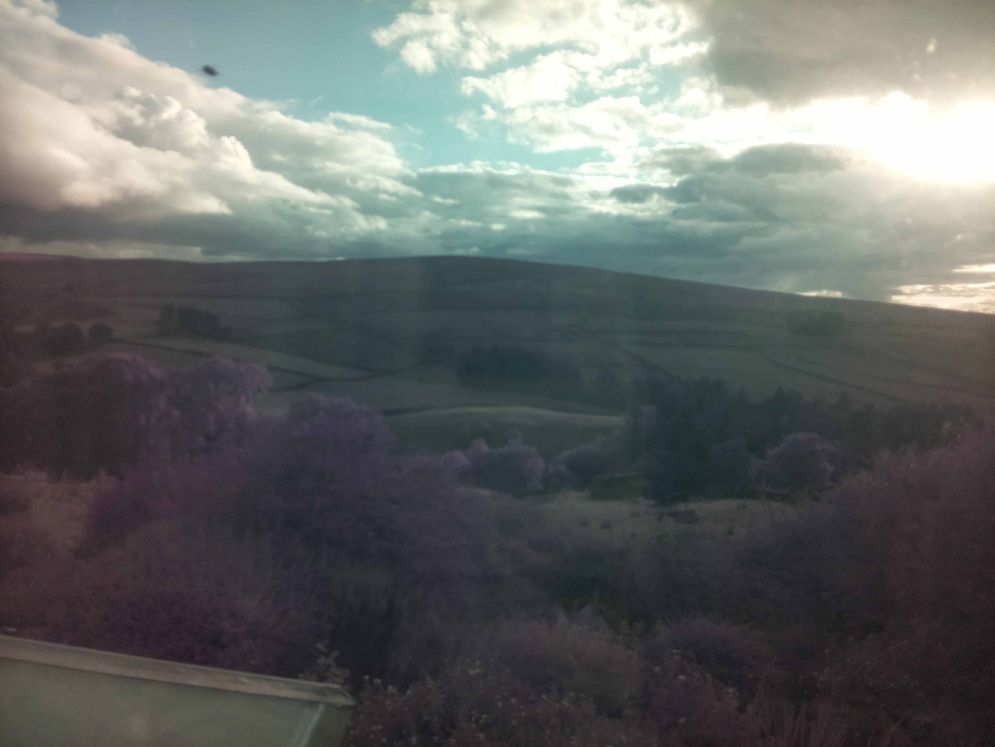 raspi webcam photo