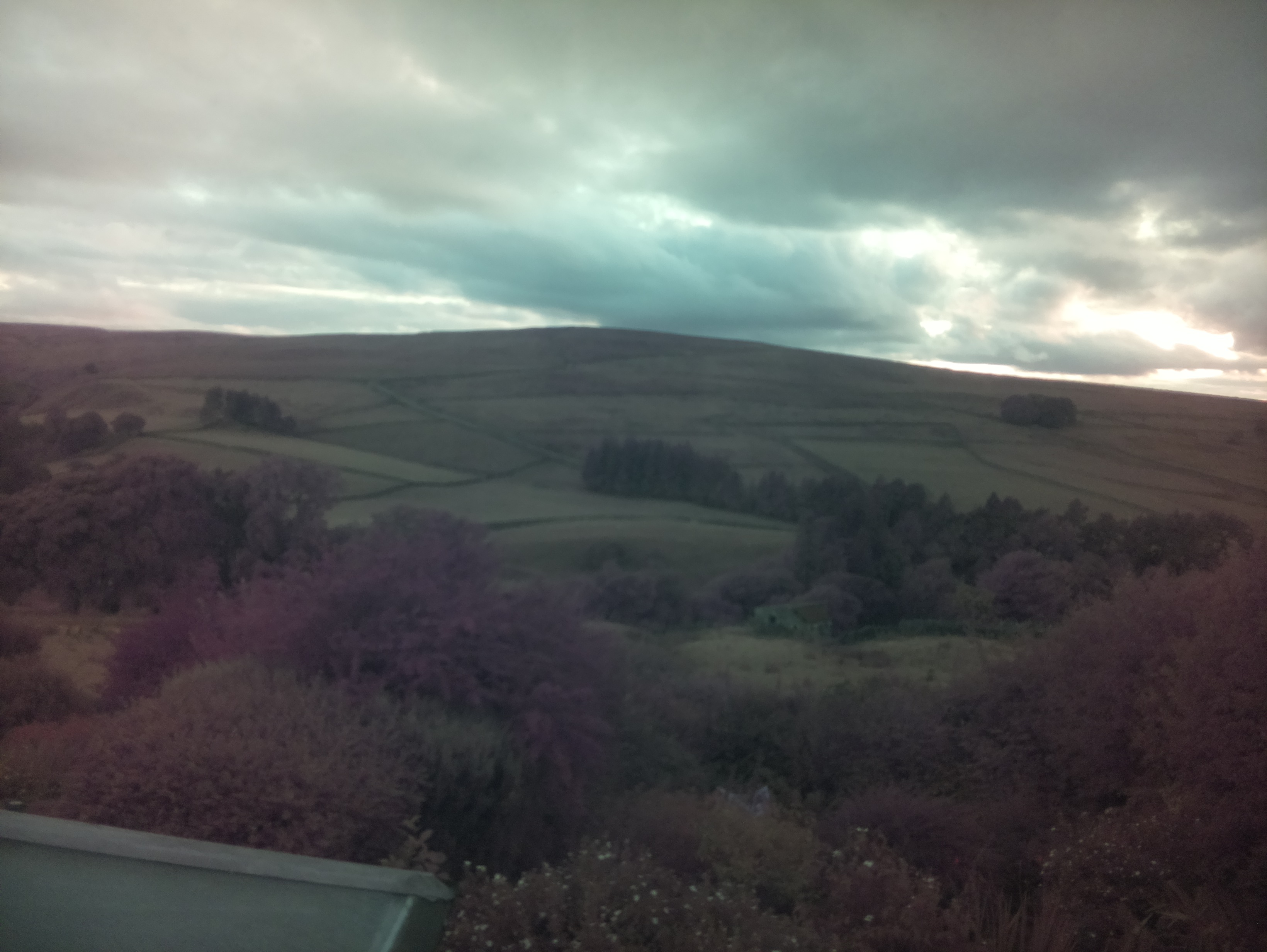 raspi webcam photo