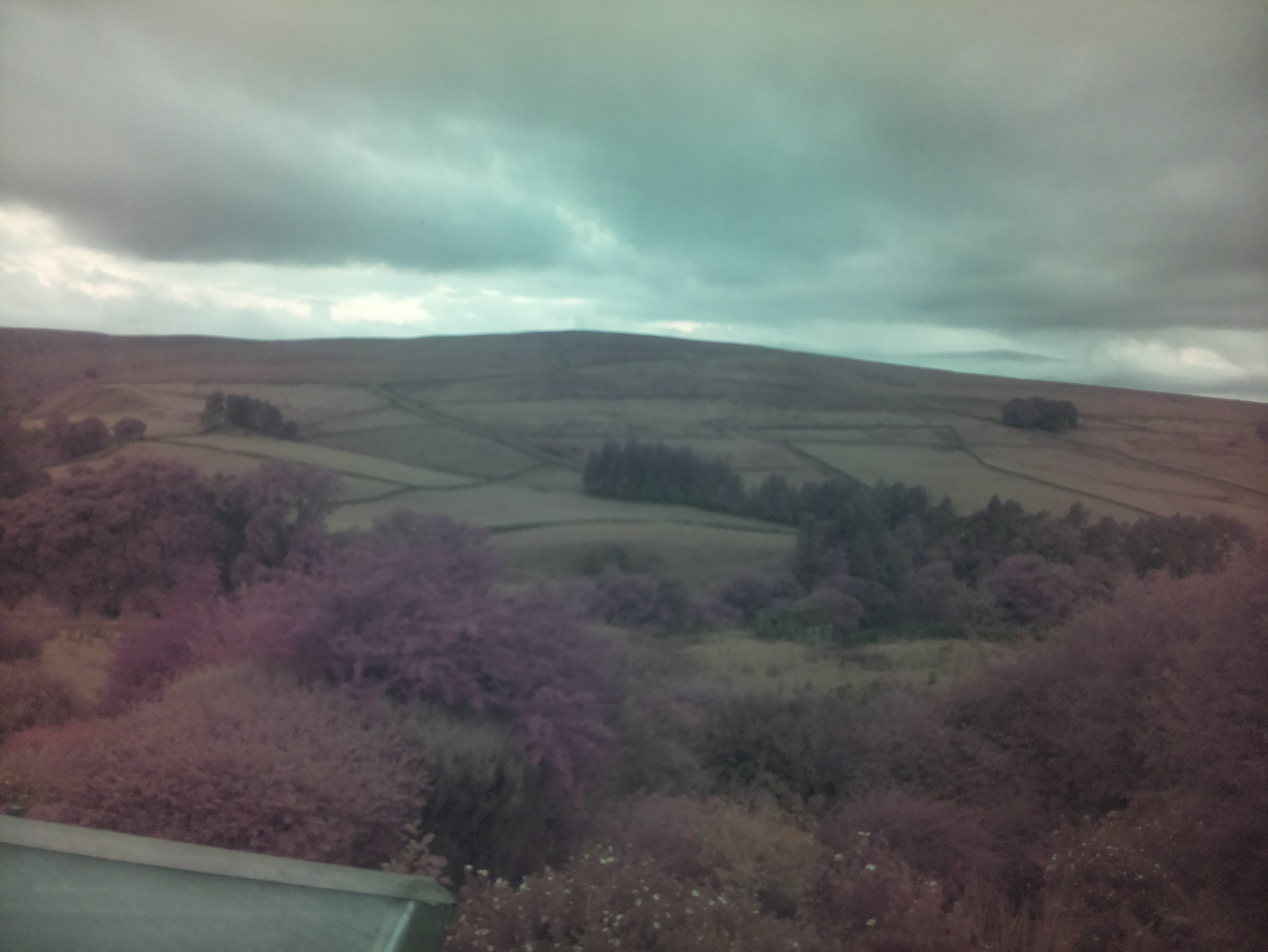 raspi webcam photo