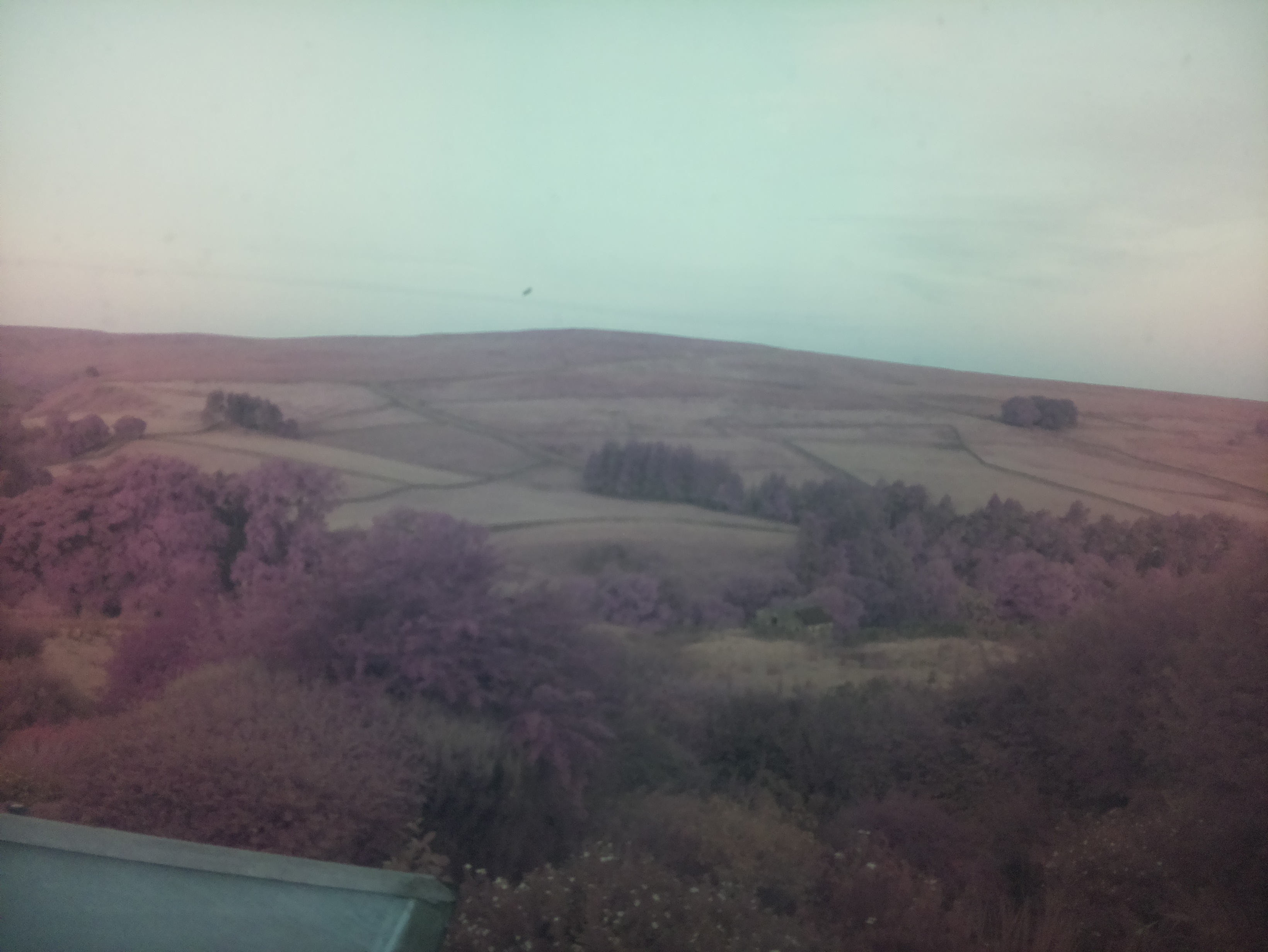 raspi webcam photo