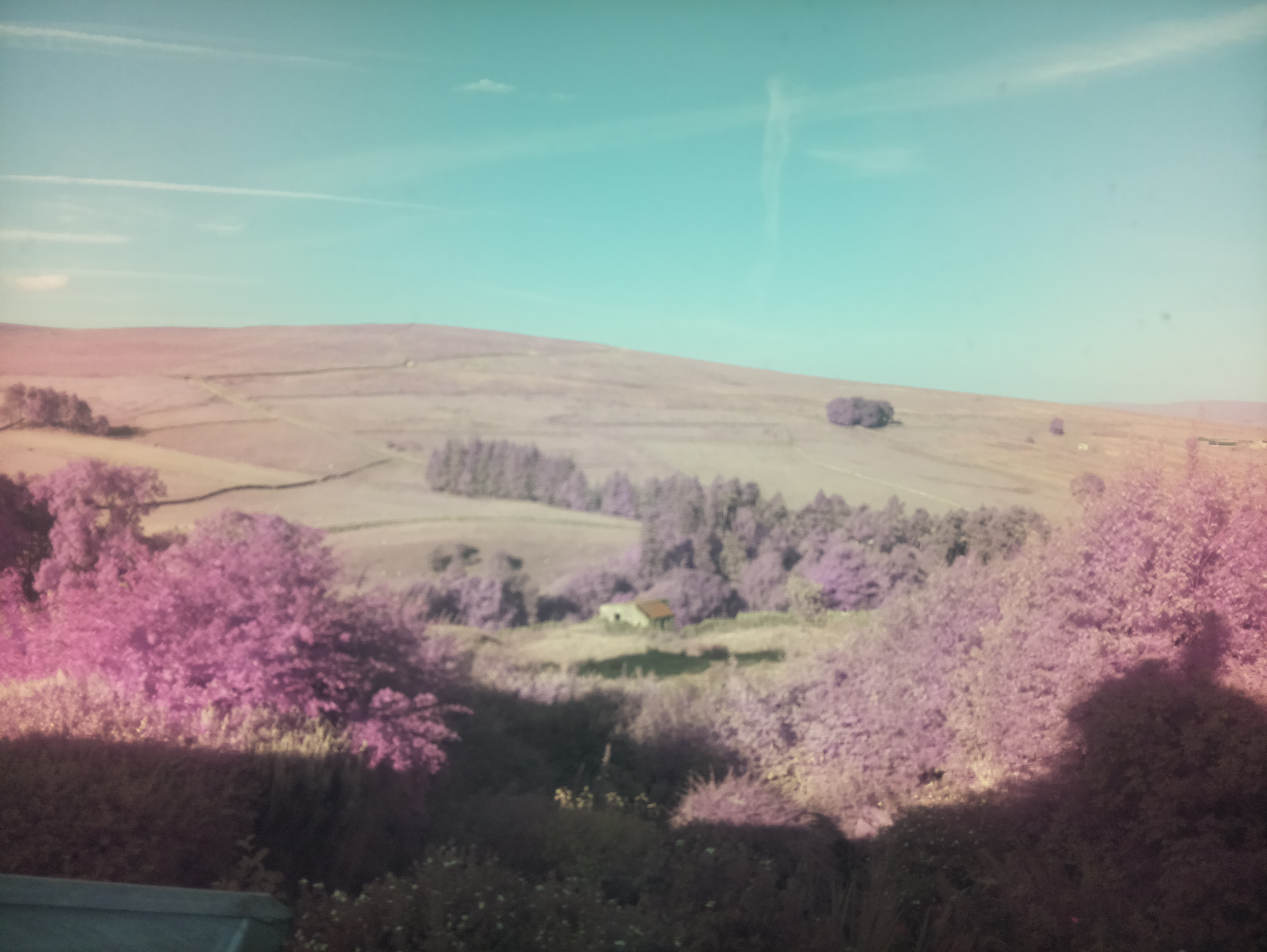 raspi webcam photo