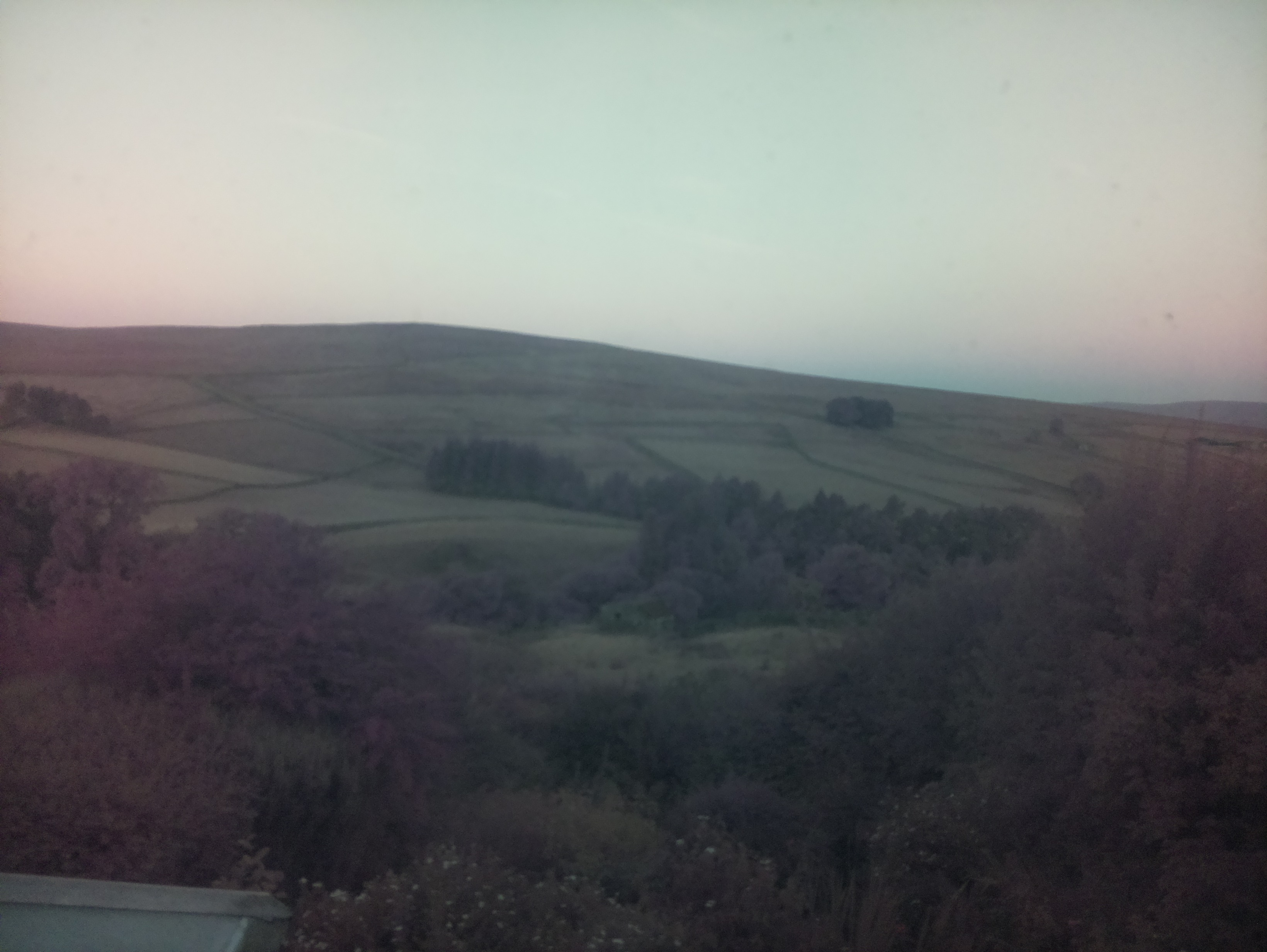 raspi webcam photo