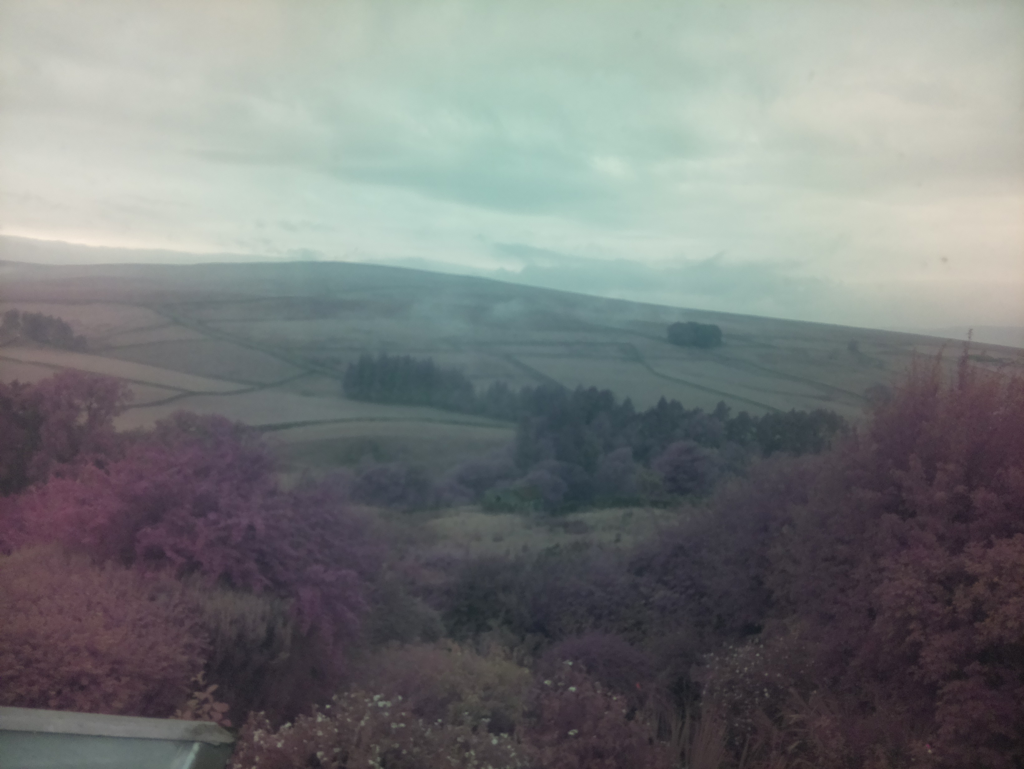 raspi webcam photo