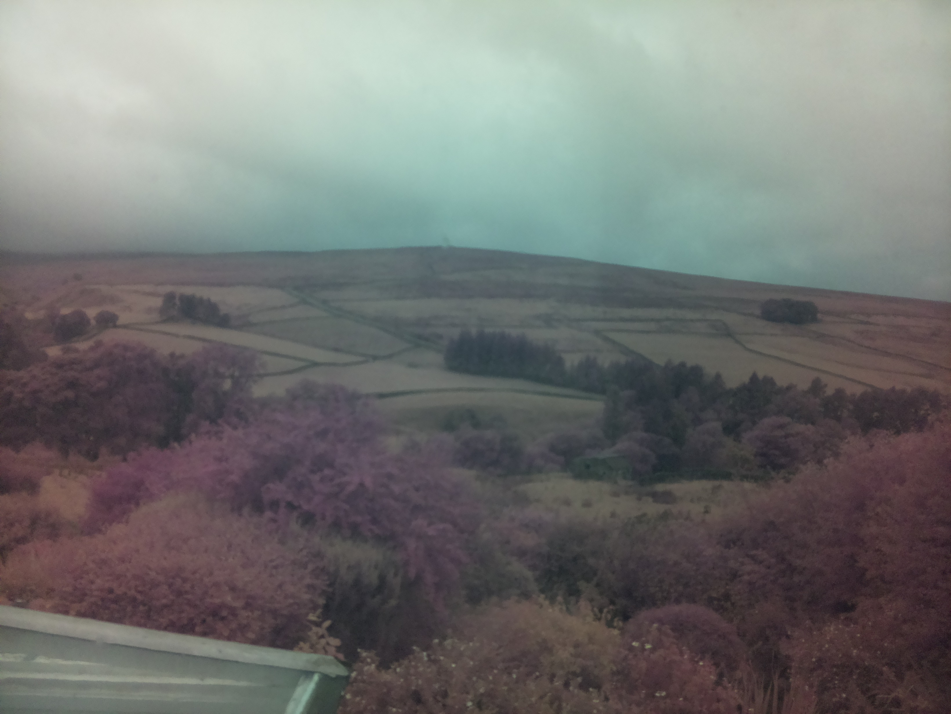 raspi webcam photo