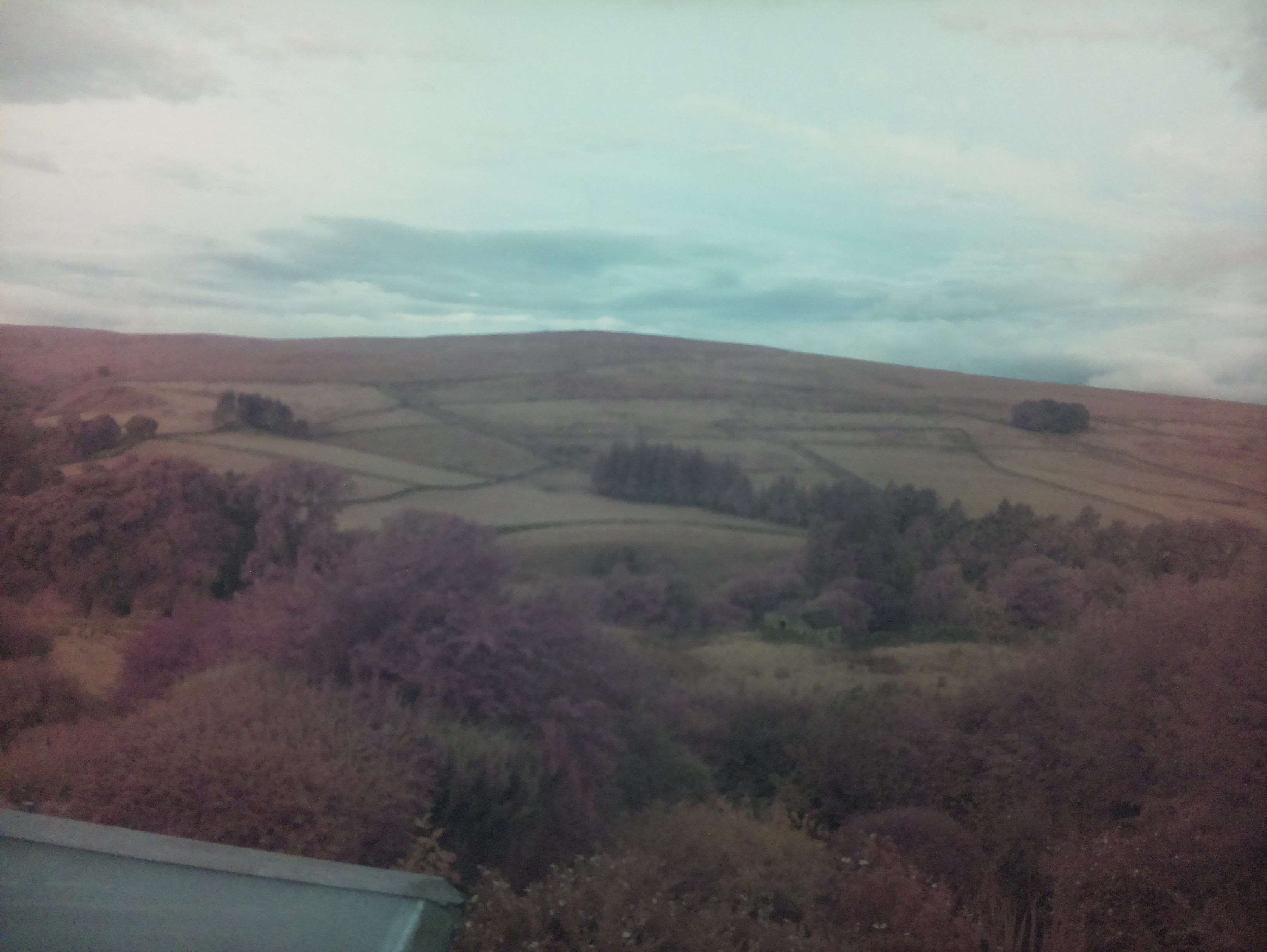 raspi webcam photo