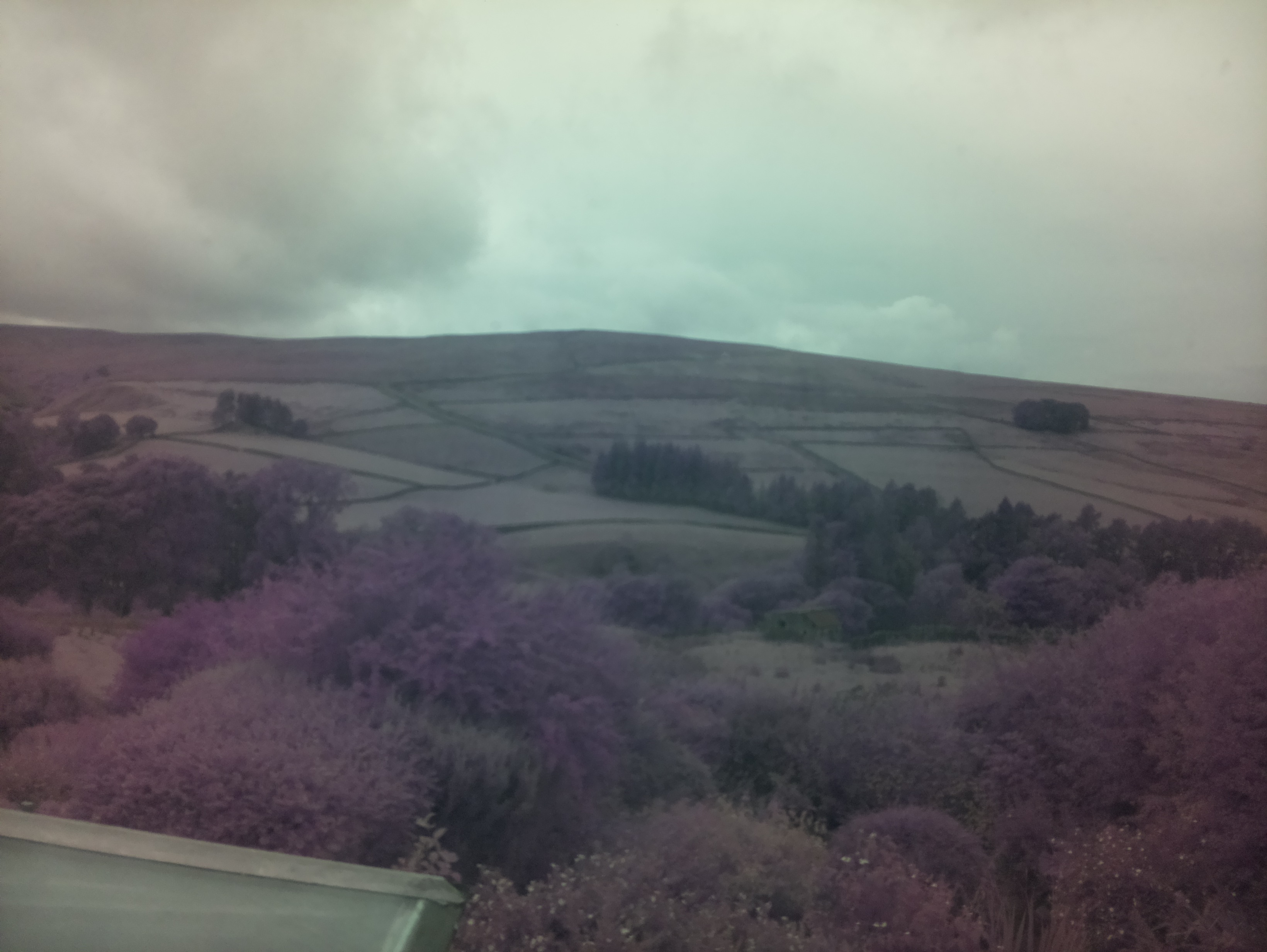 raspi webcam photo