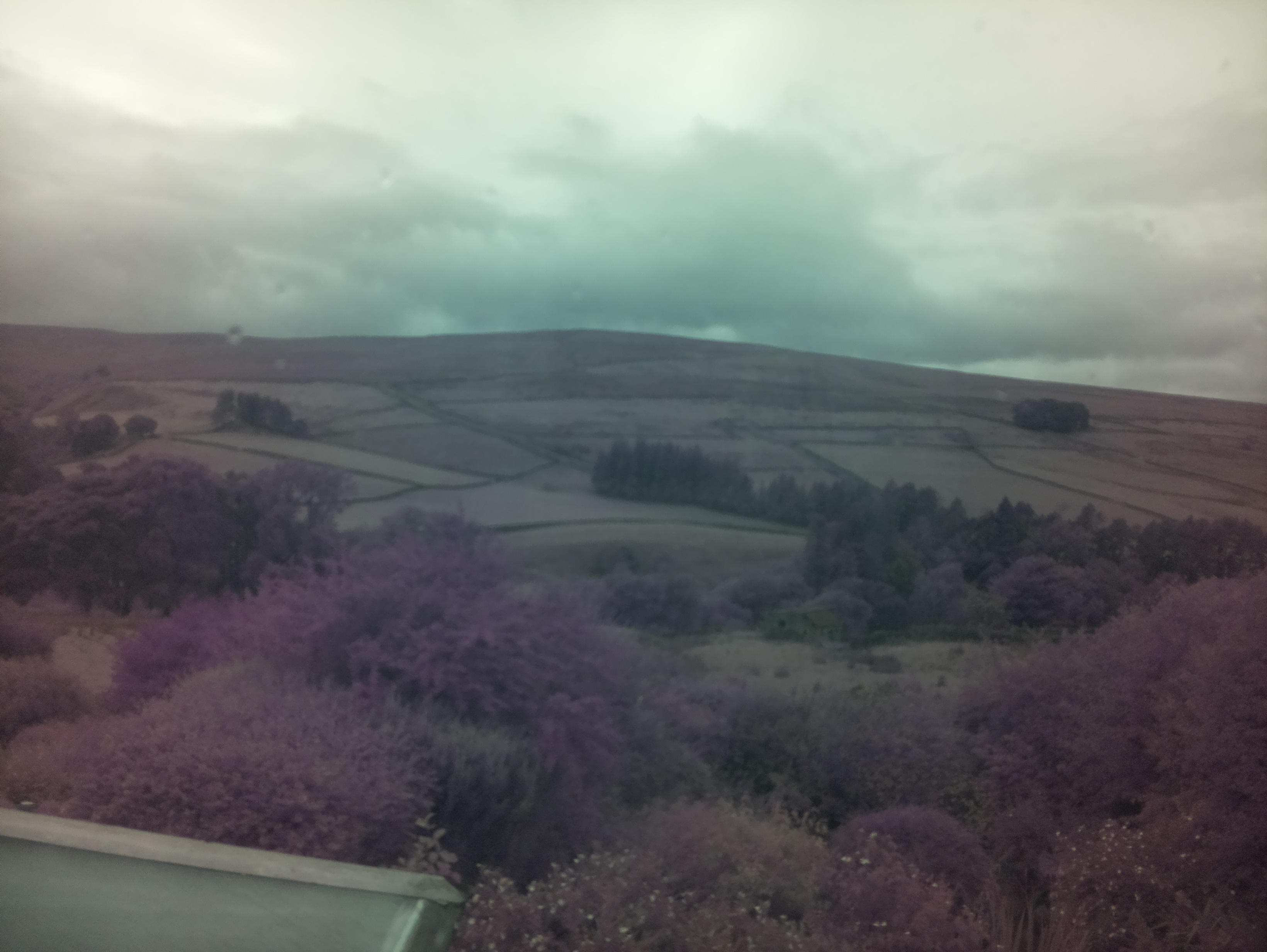 raspi webcam photo