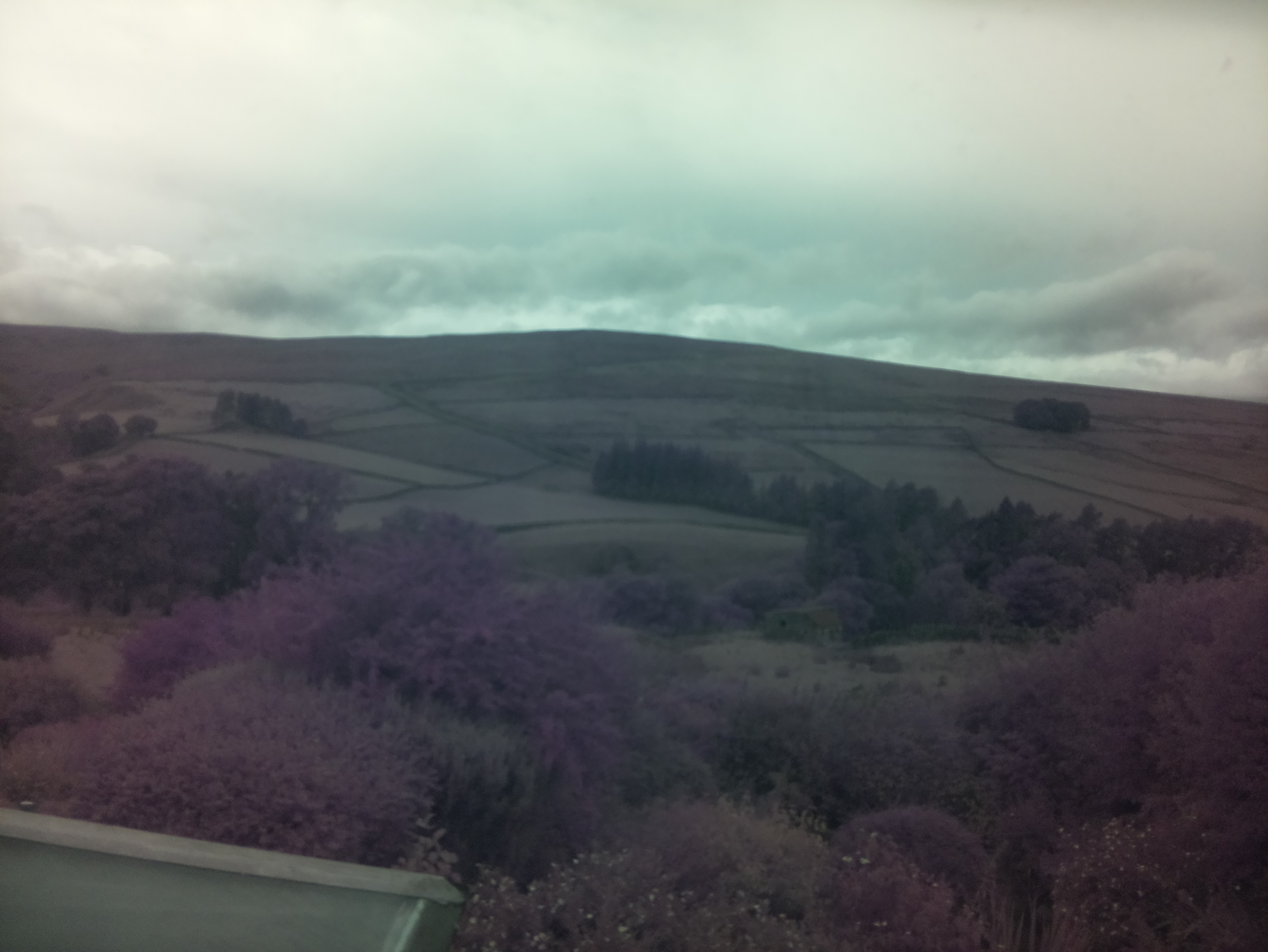 raspi webcam photo