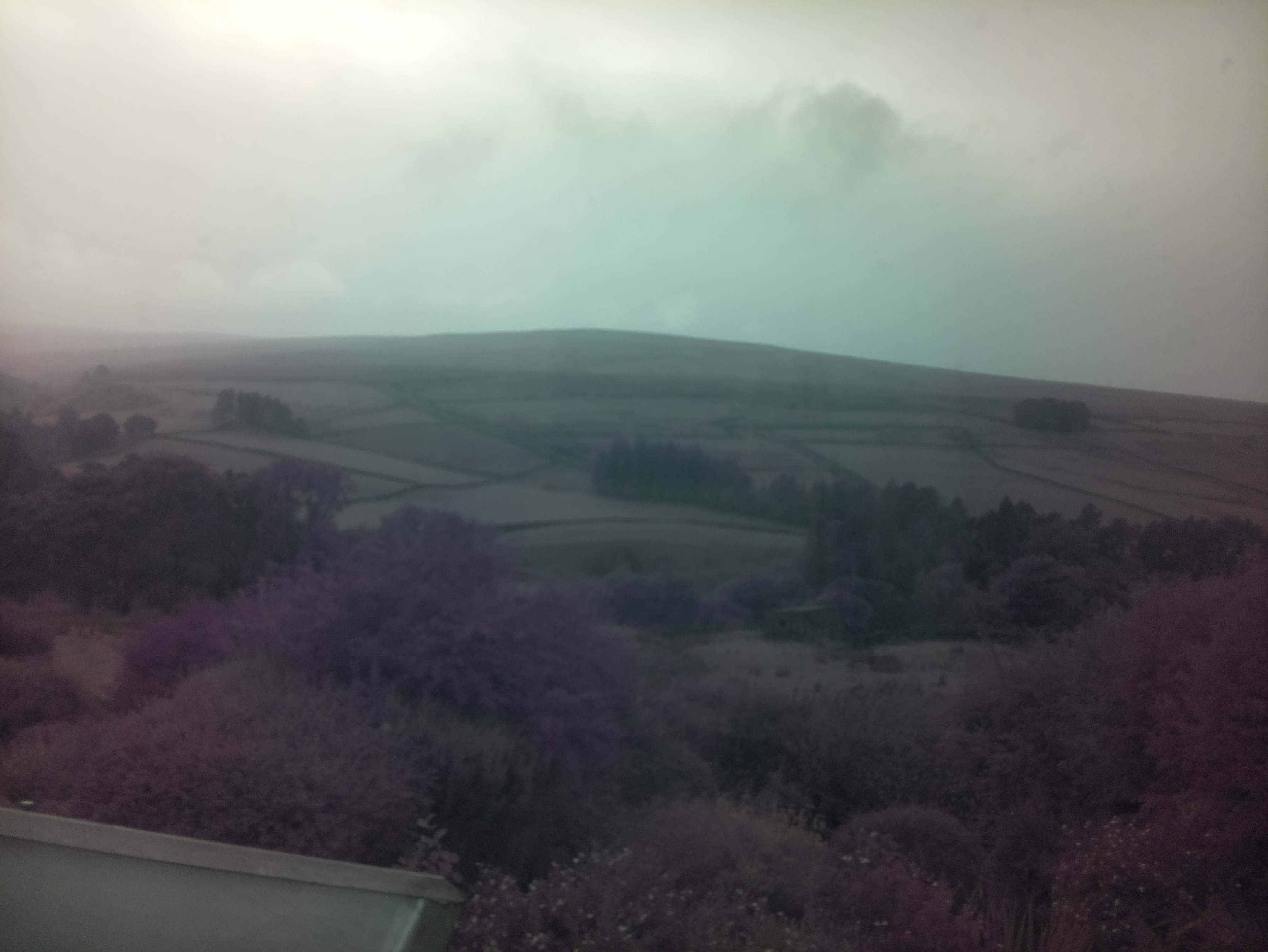 raspi webcam photo