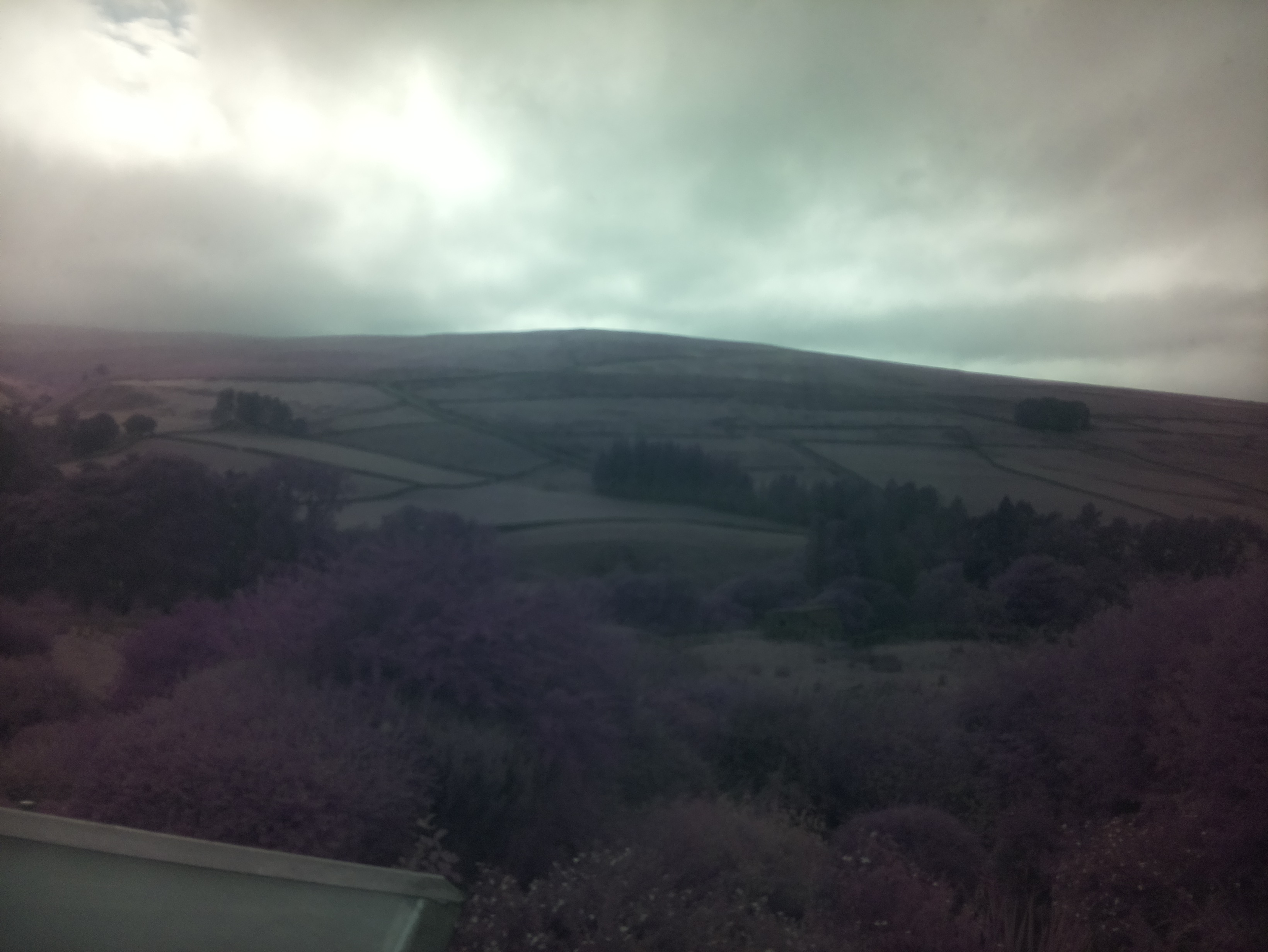 raspi webcam photo